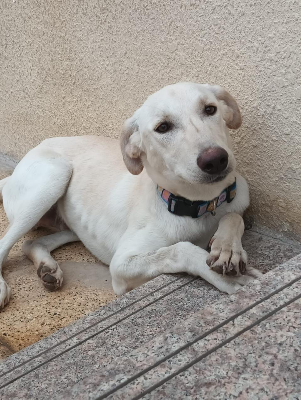 Max