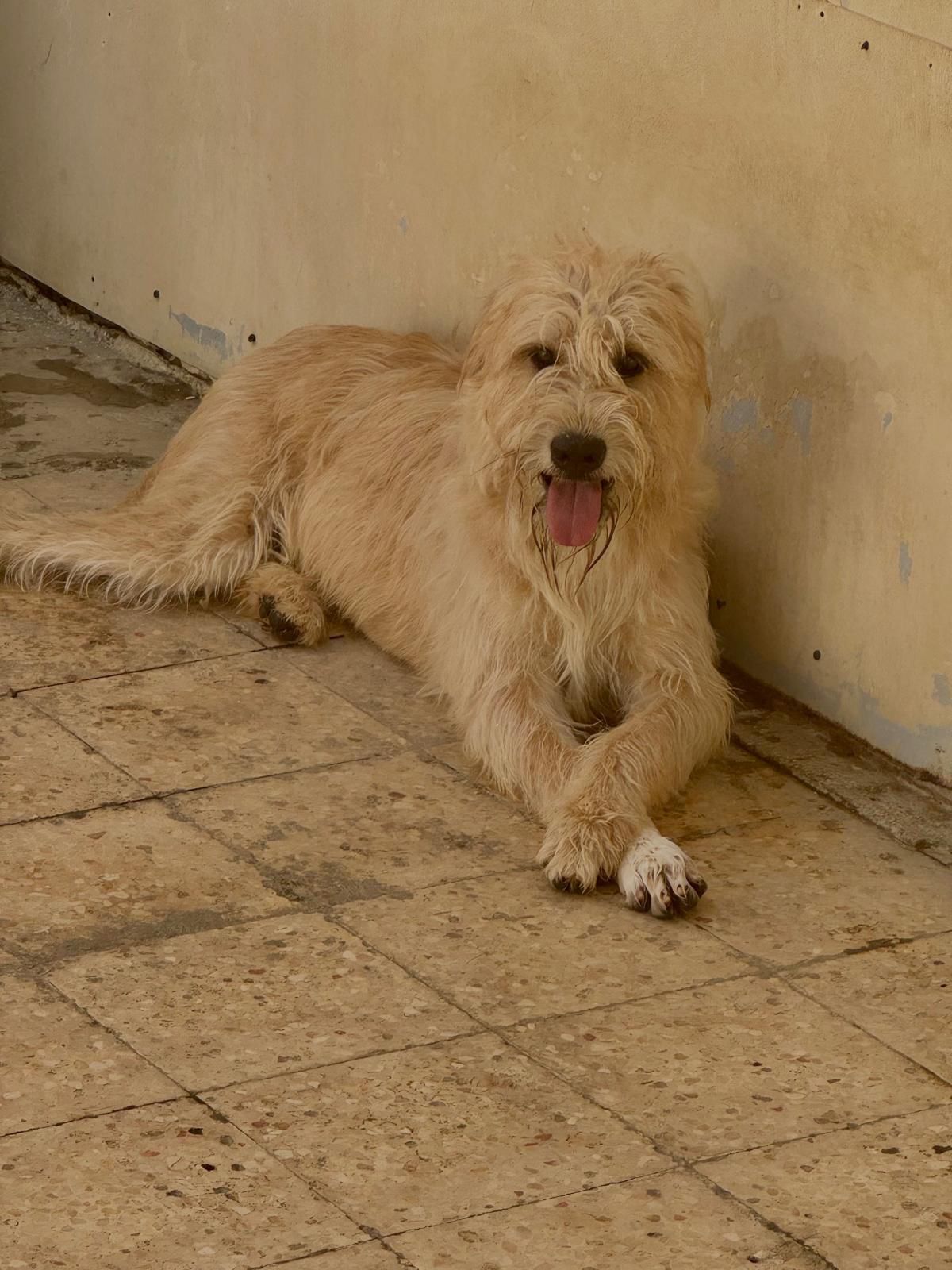 Coco
