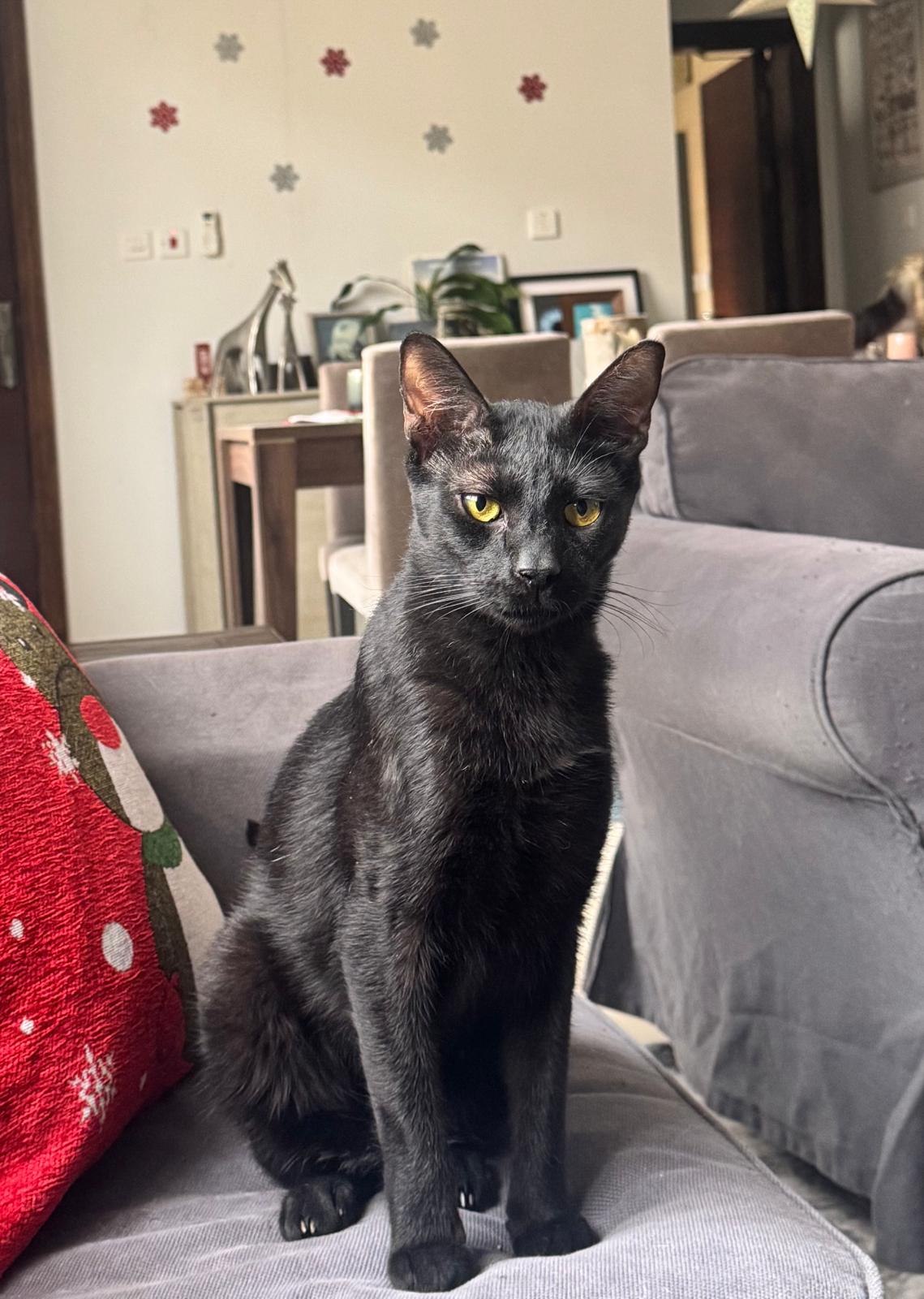 Jack