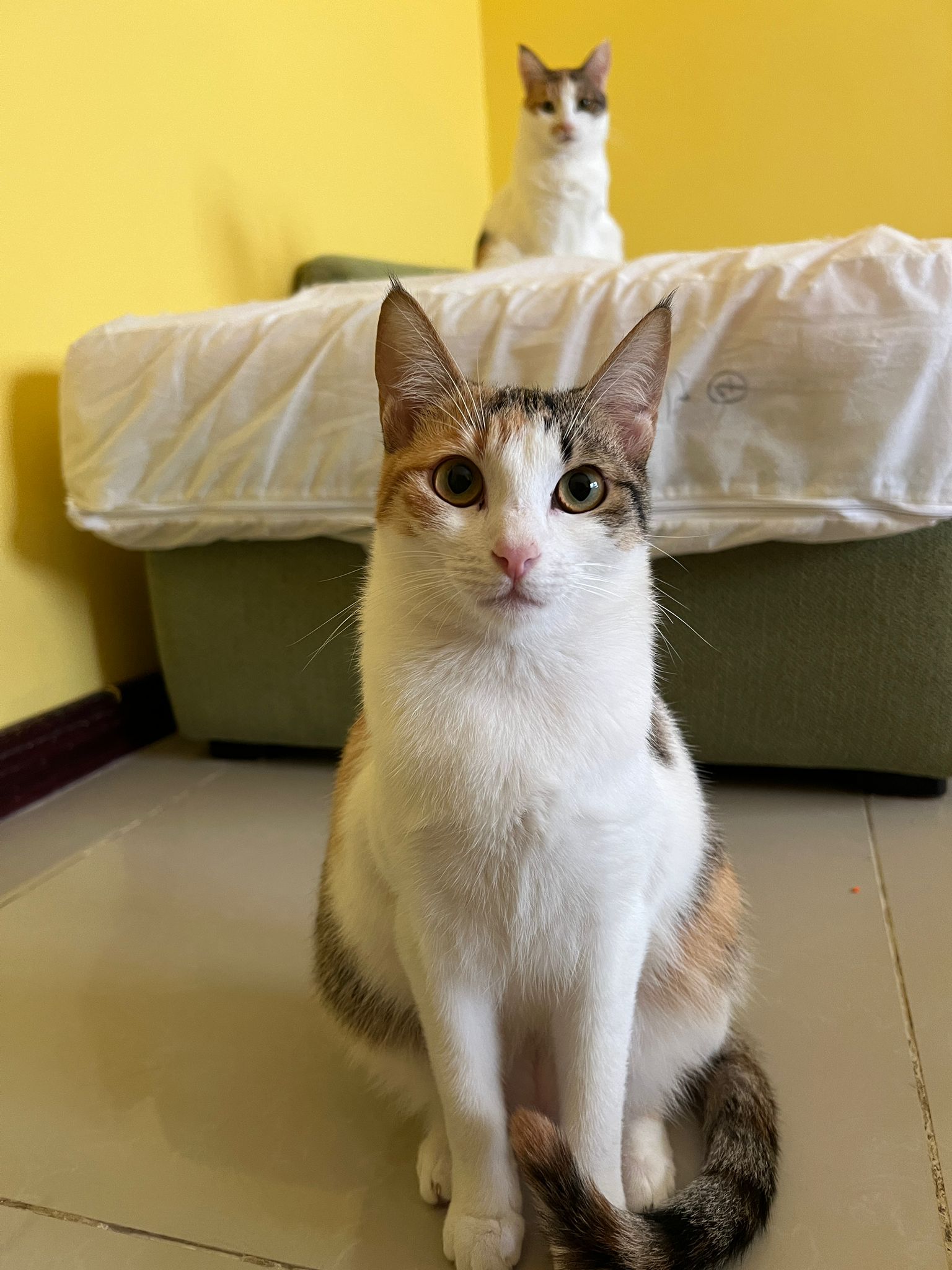 Kiska
