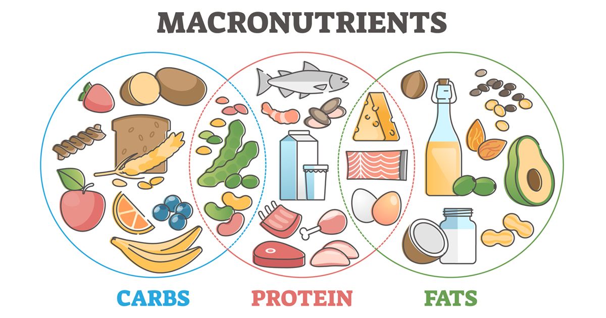 Macros 