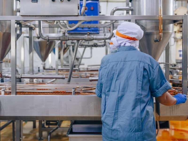 Modern food manufacturing facility ready for production