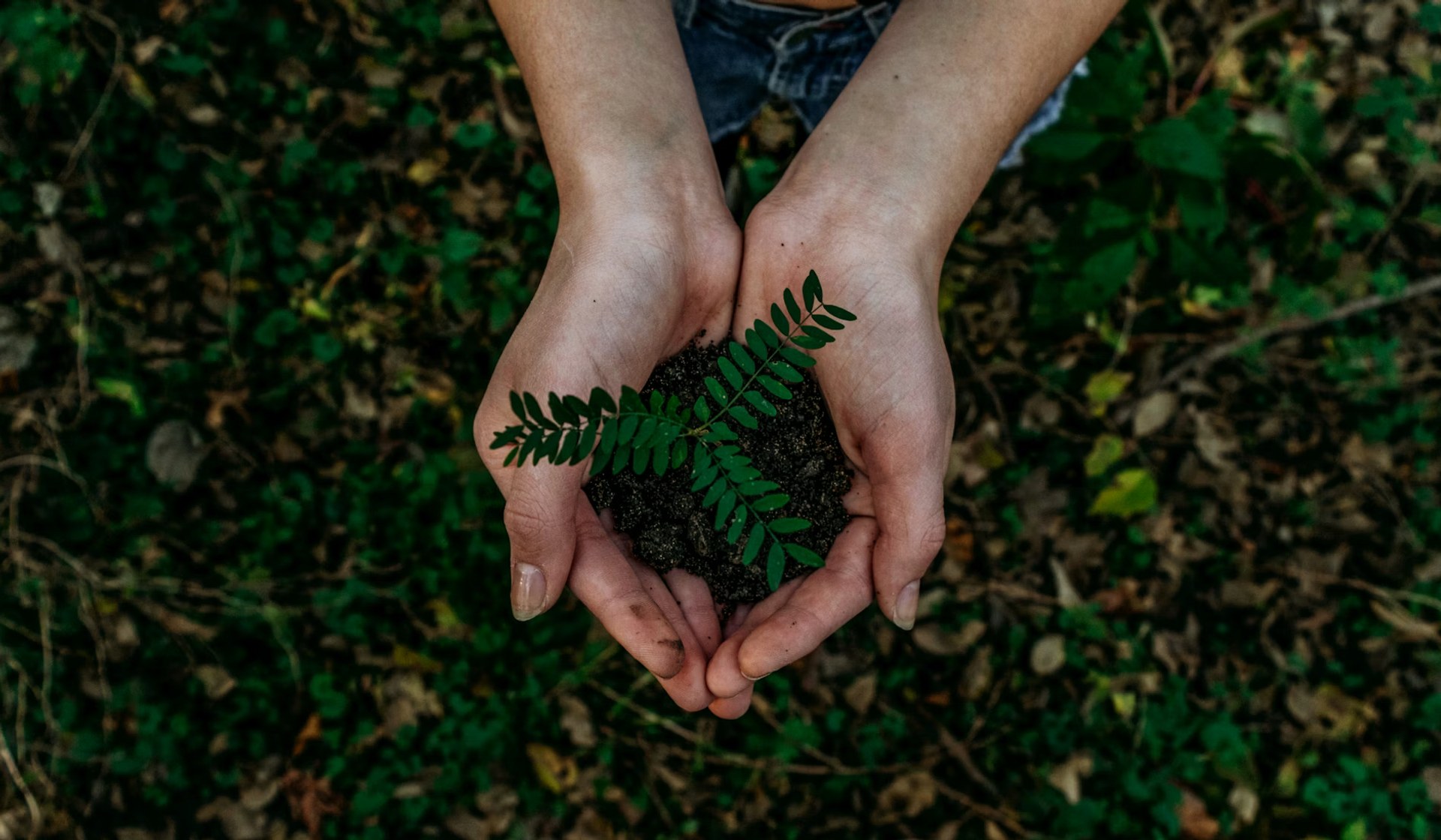 Sustainable cleaning practices — Keen Cleaning environmentally responsible cleaning services