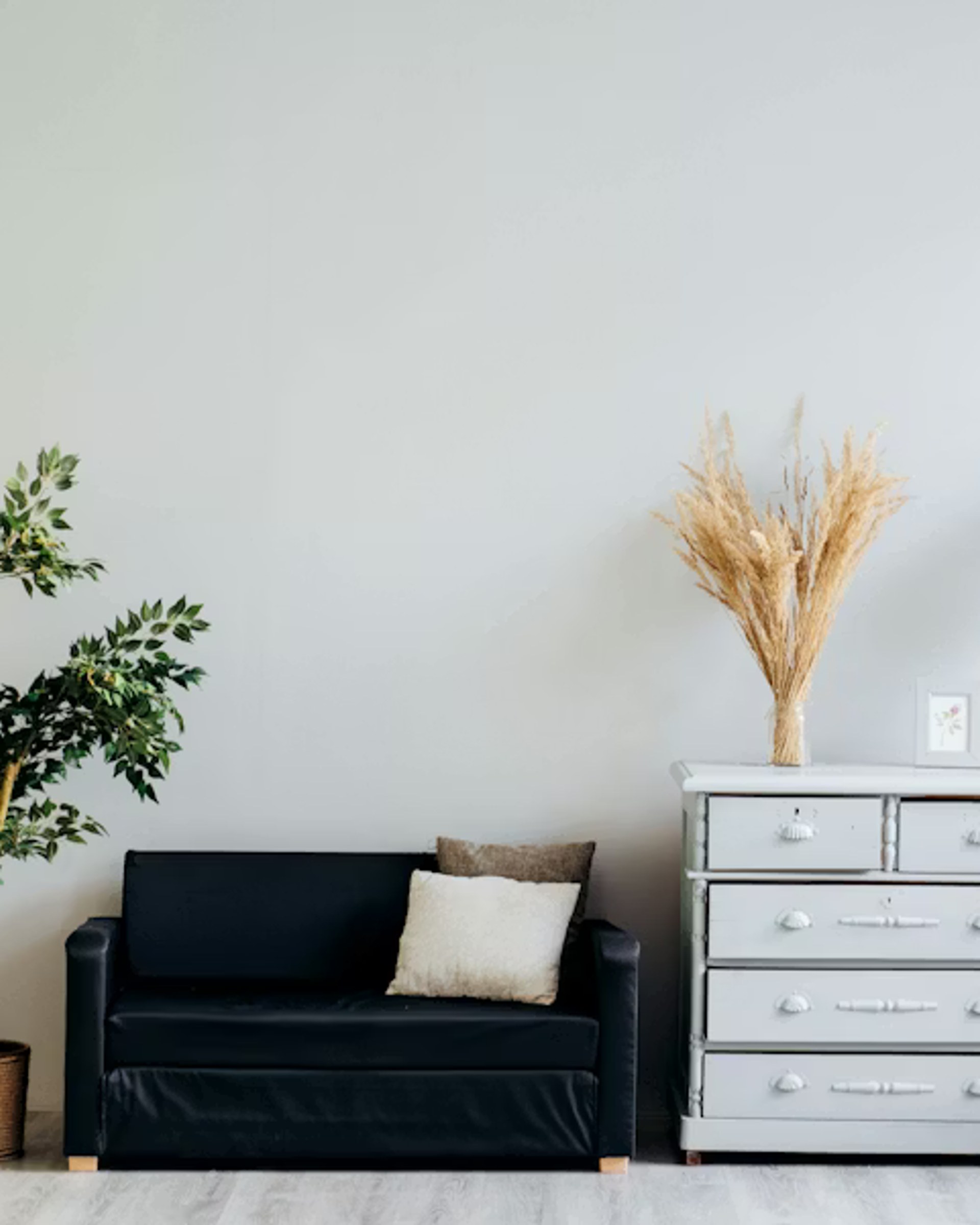 Beautifully painted modern Australian living room interior
