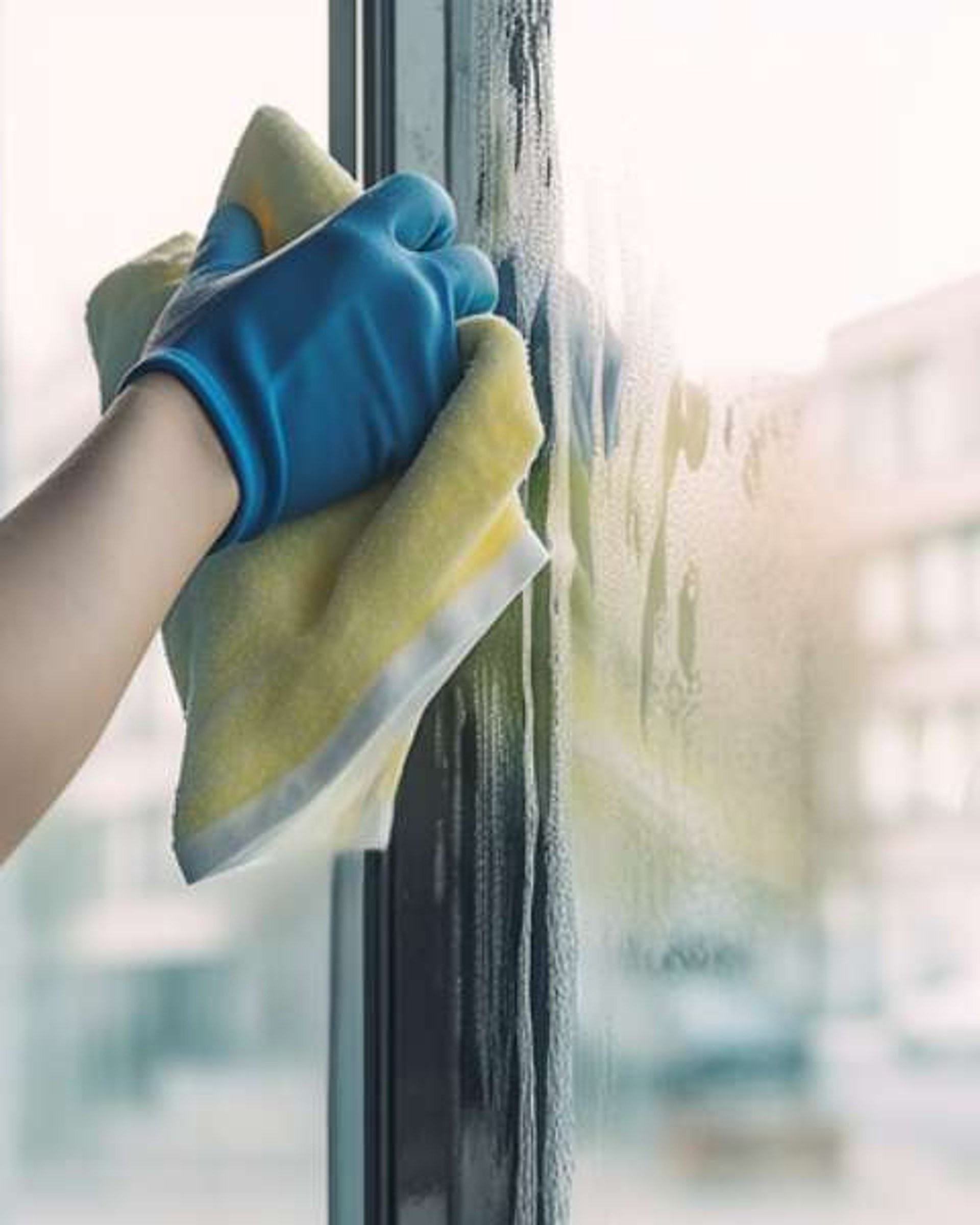 Professional window cleaner with squeegee cleaning glass