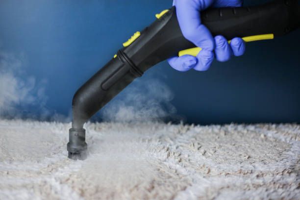 How Carpet Steam Cleaning in Melbourne Removes Stubborn Stains and Allergens
