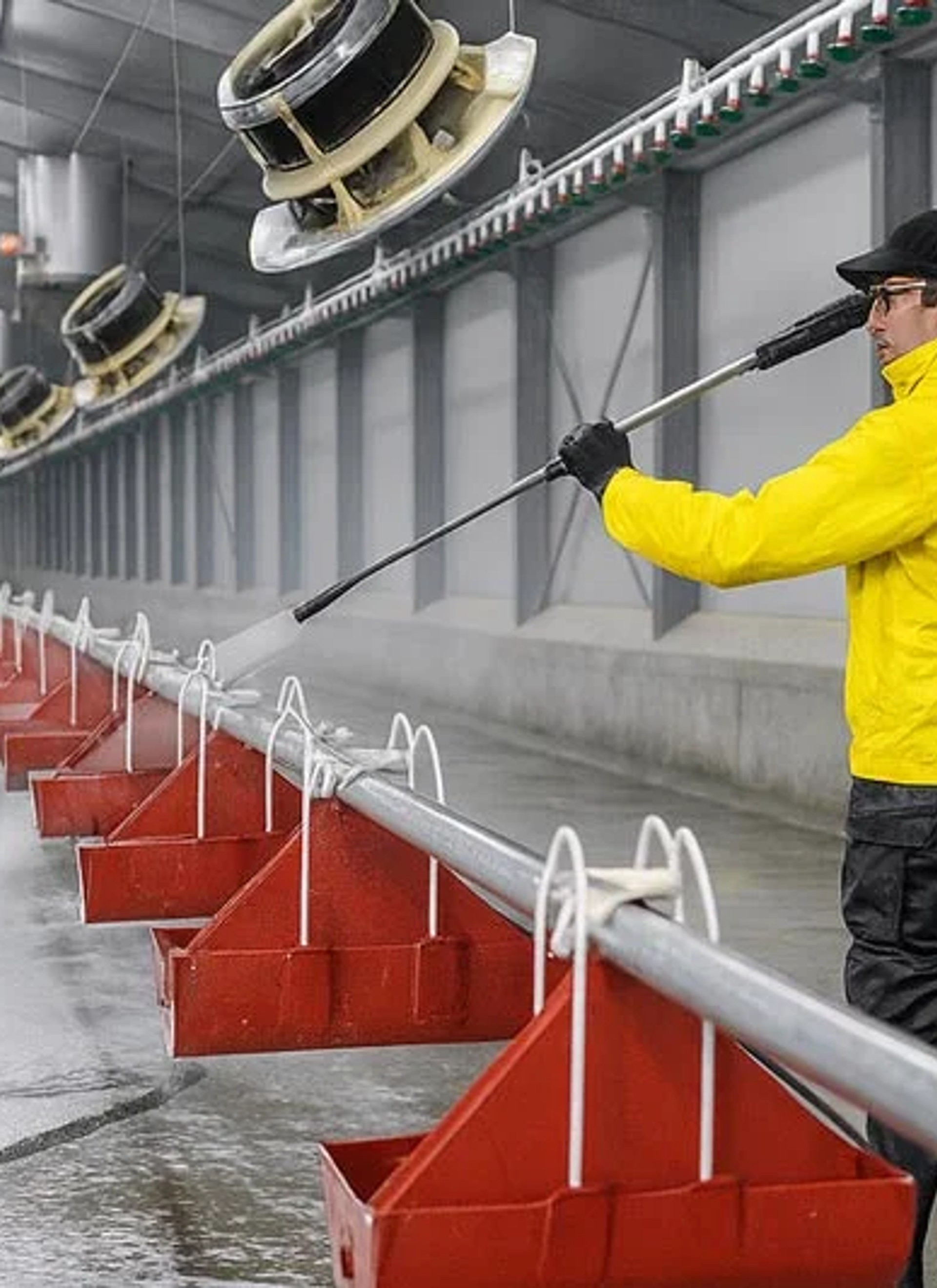 Cold storage and hygiene area cleaning in food processing facility
