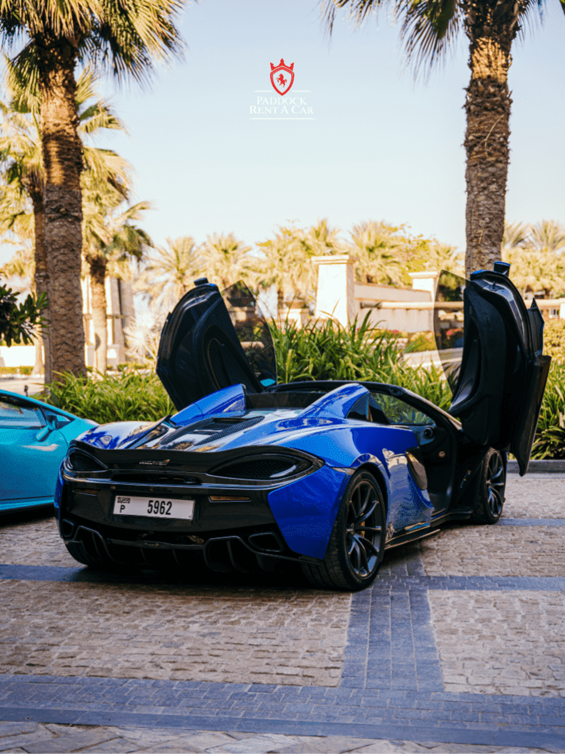 image-01e5bd92facbfbac19bad7627b01d109f9de2089-768x1024-png