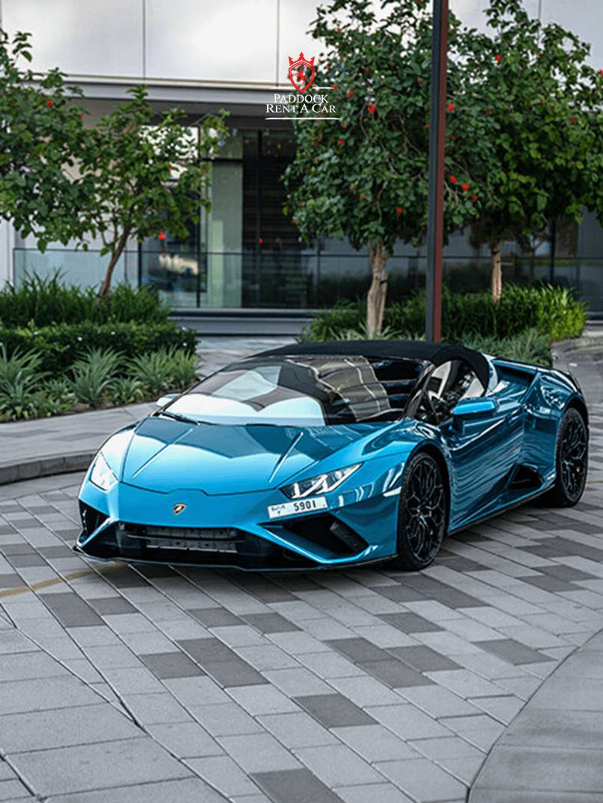 image-159a3c7bcf19d8d81e0d63af6f60c035806d5327-807x1075-png