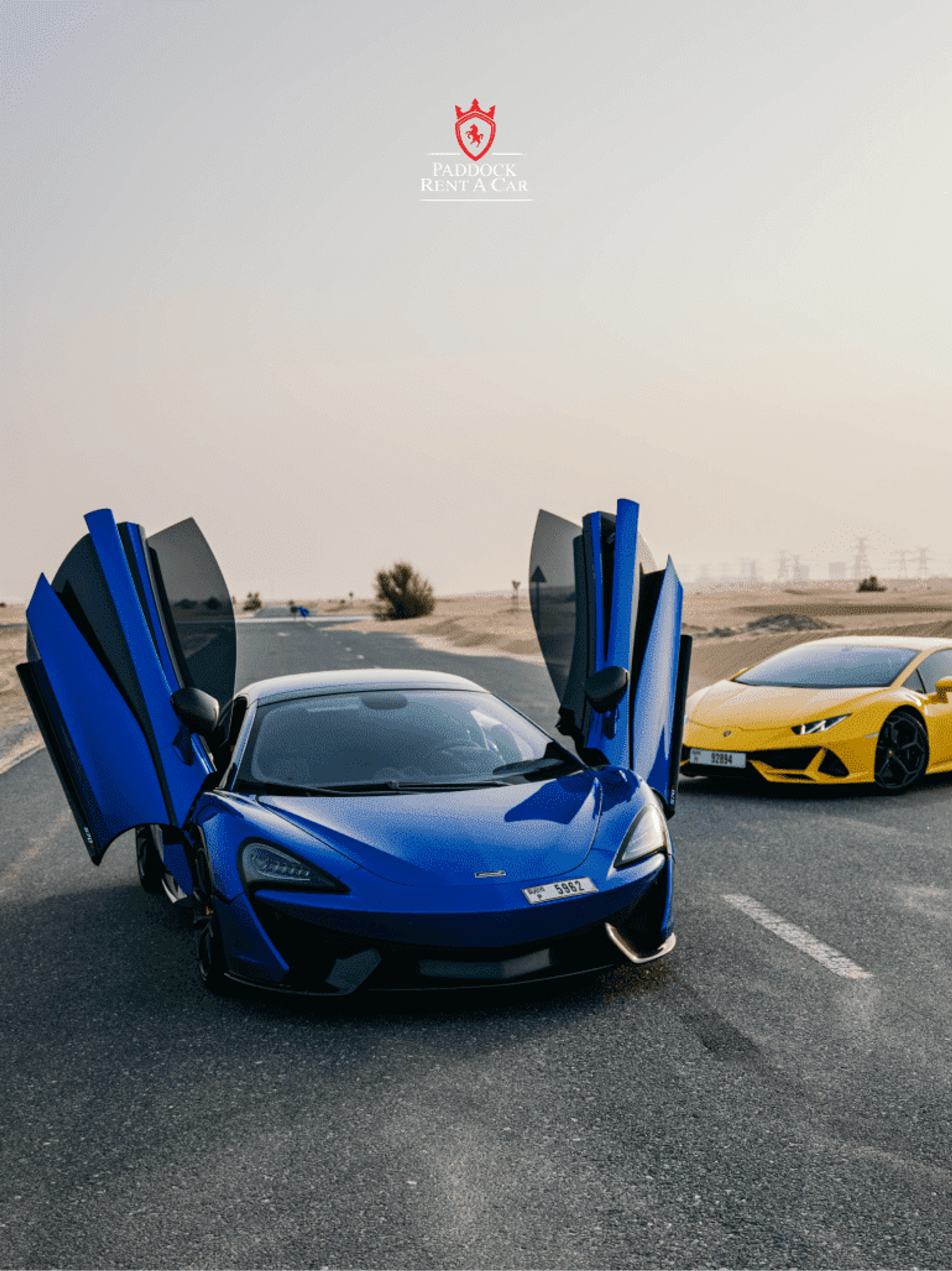 image-1719dc31150efc8fe41bd2ac7978e6303b06182d-770x1027-png