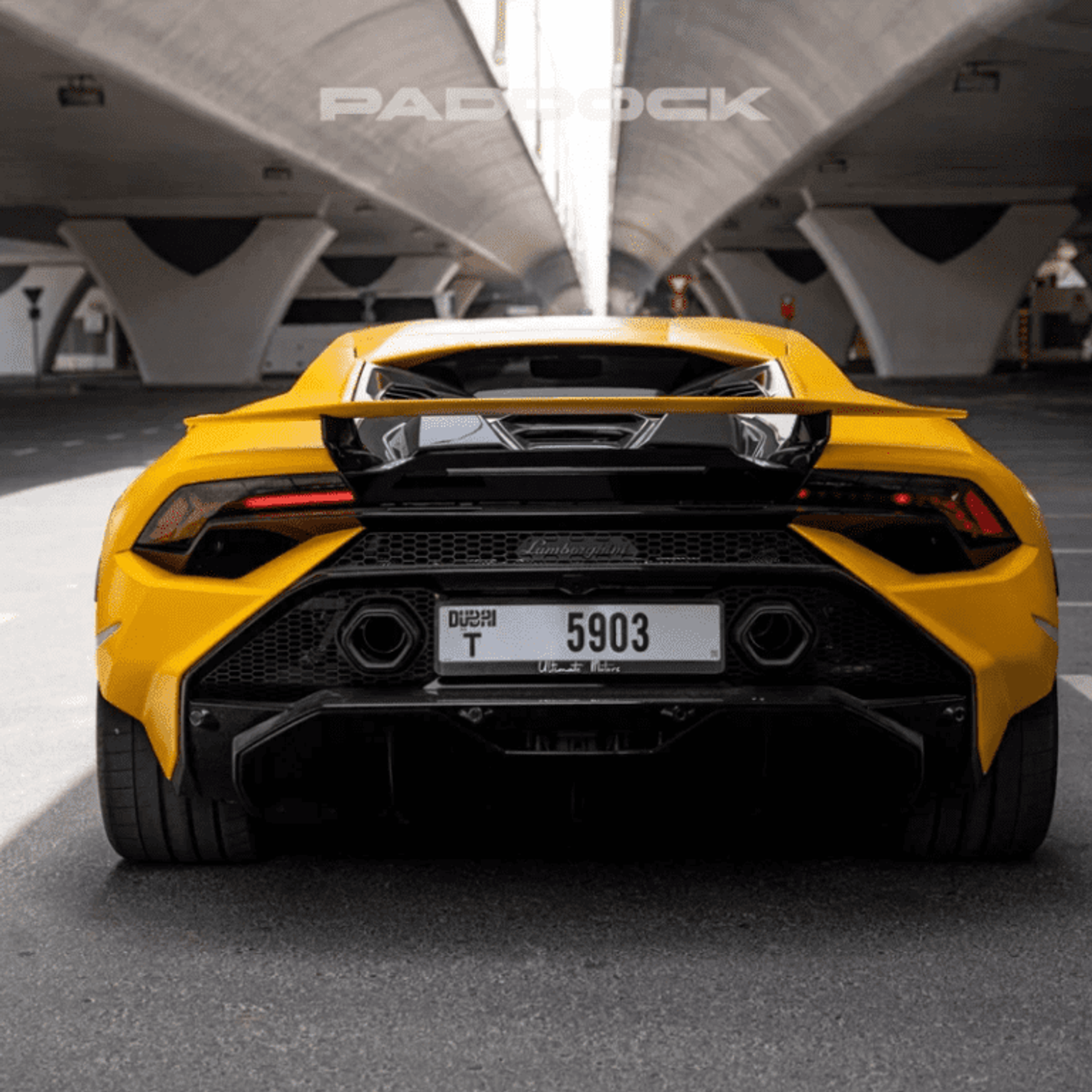 image-2f786ed7ac90c75706ea760481ef1482131cab0c-768x768-png