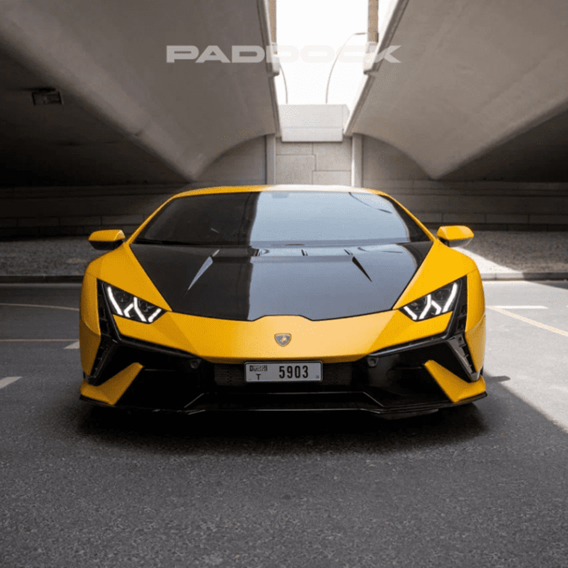 image-4d8e6970a50f4a28031c52d103b799580ba2a0d6-768x768-png