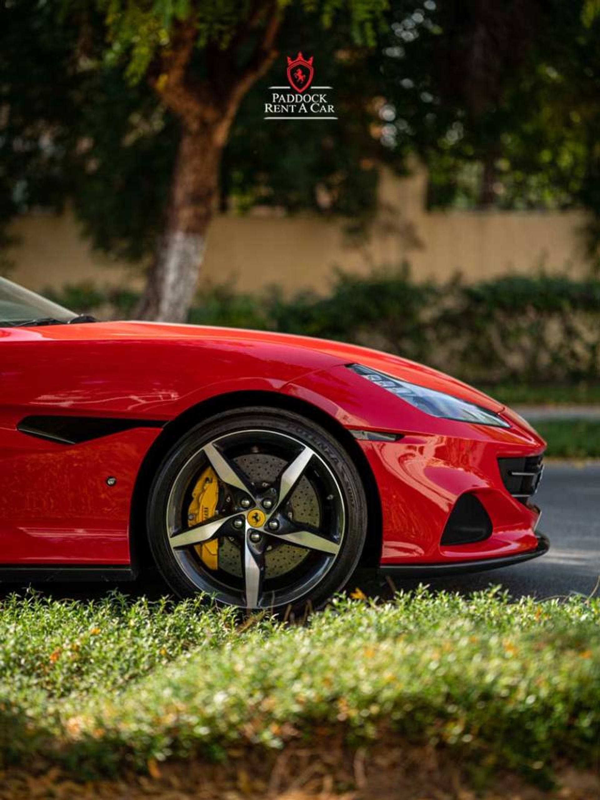 image-6cf121c434c70f50a561872e6b5e890c15846640-768x1023-png