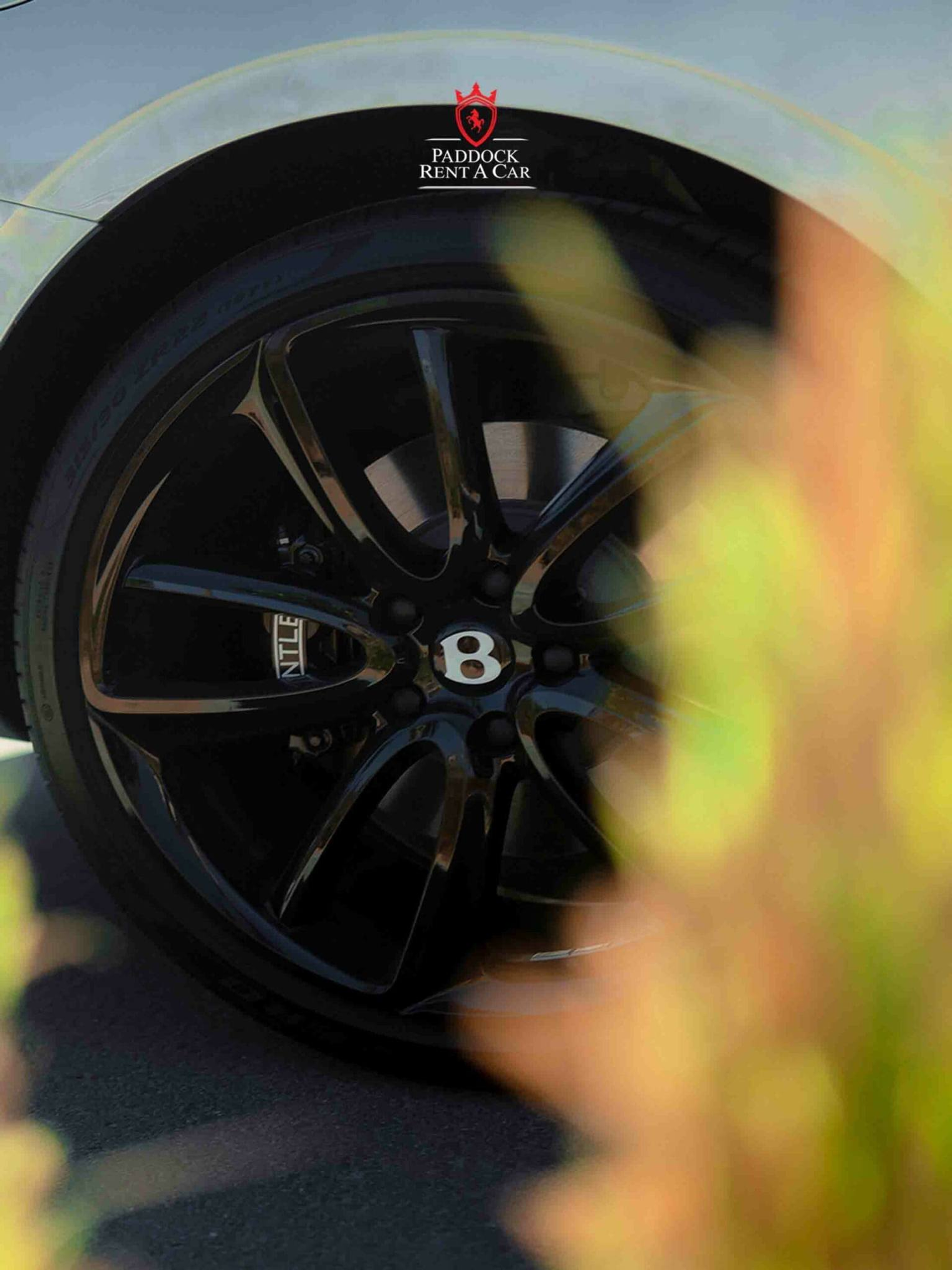 image-6da79593fb6575dafb364805583da0176a837544-1536x2048-png