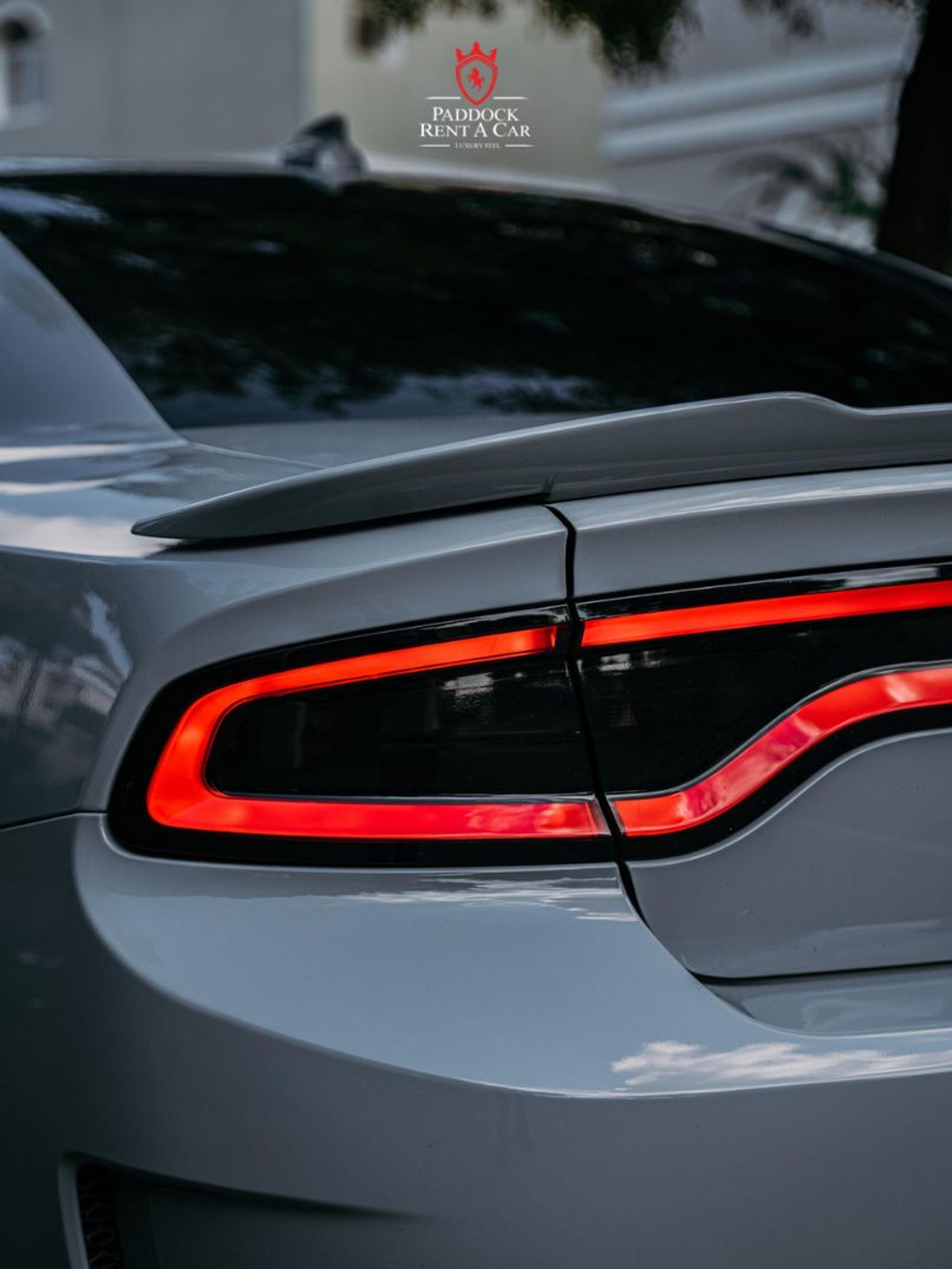 image-8b759dfa910f8d852772210e769bc6fe0ee2f7a5-807x1075-png