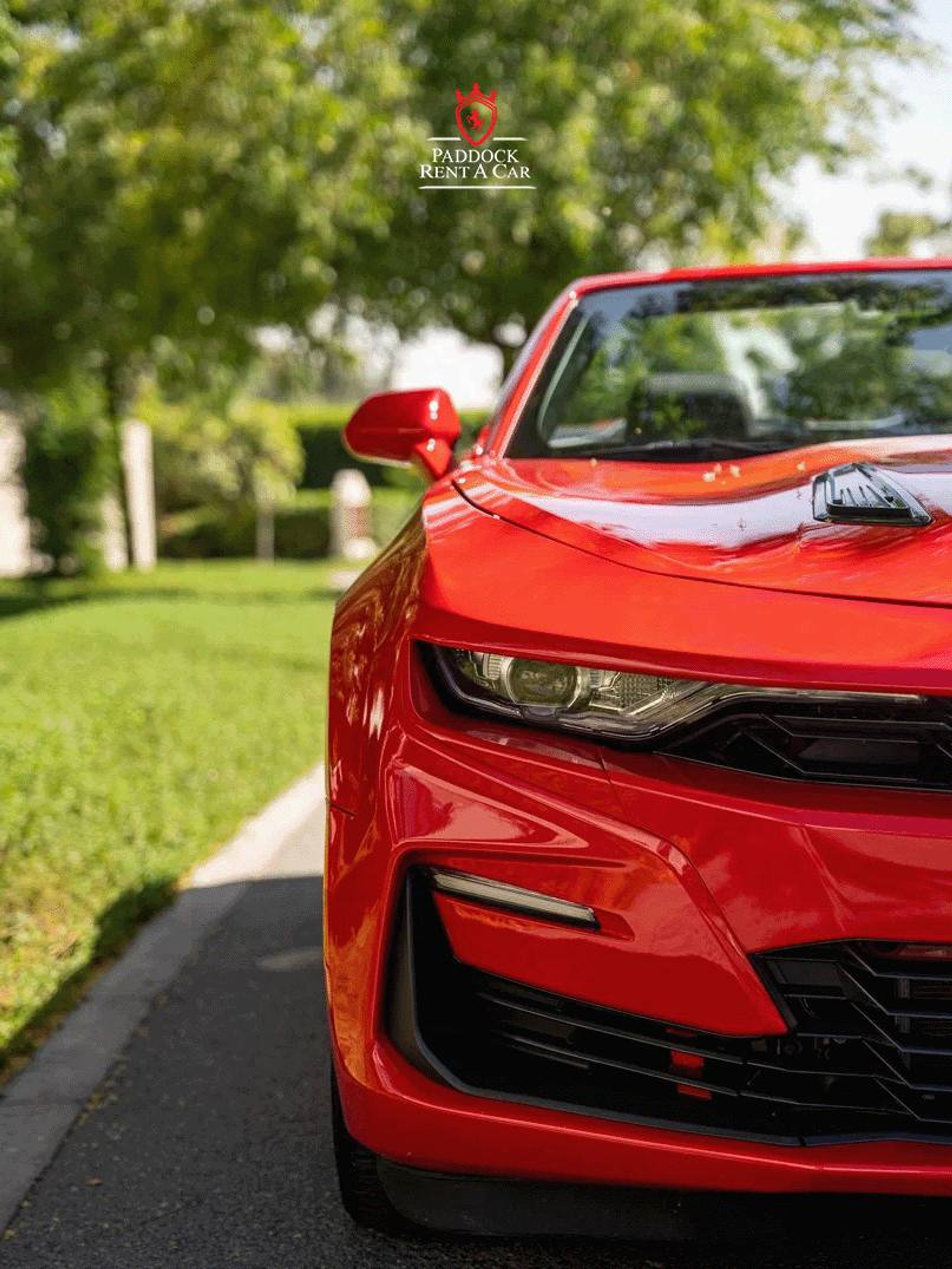 image-996e558577bfe8695c889cd1f6340c218f8f84fc-807x1075-png