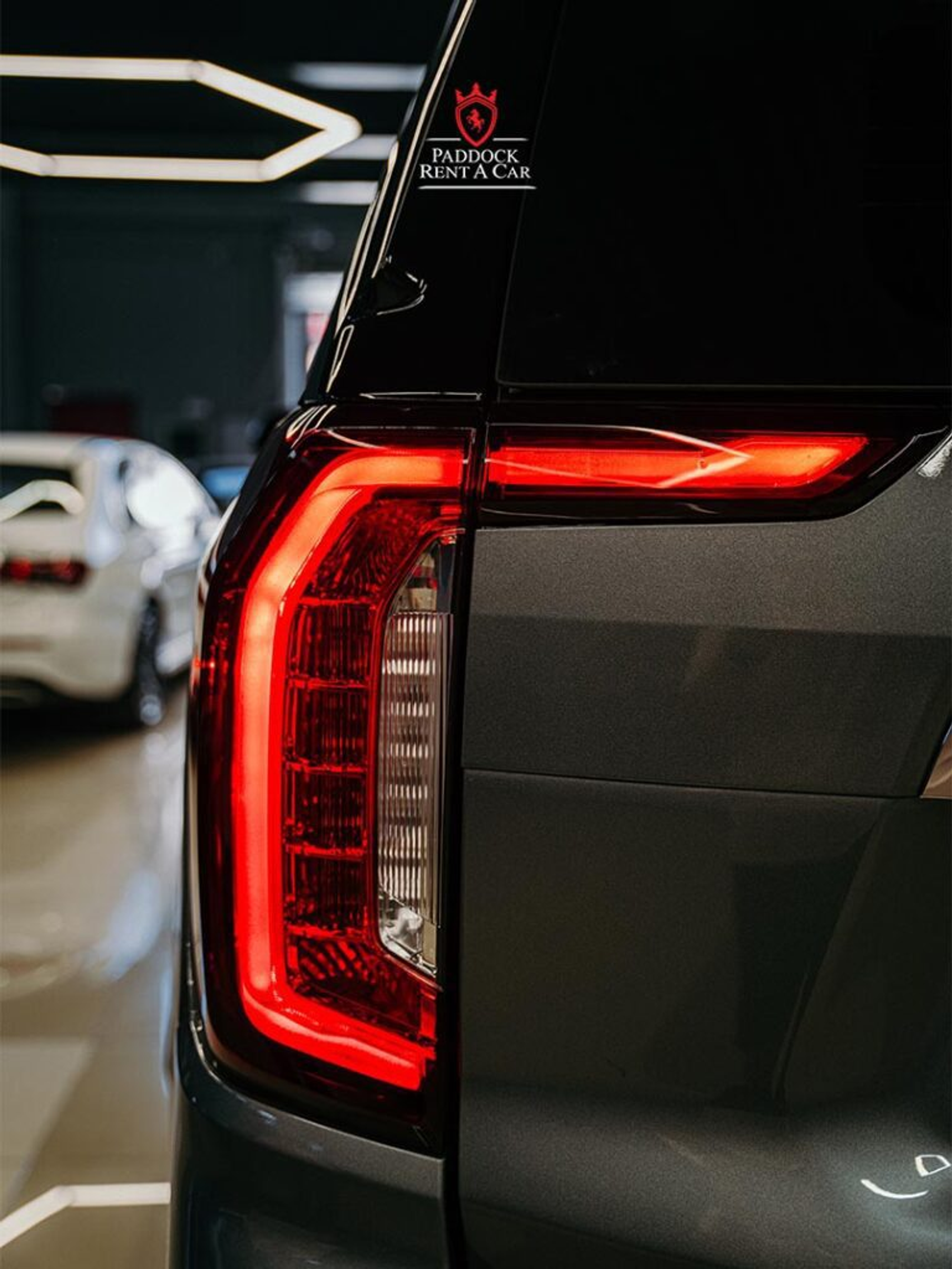 image-9ca19694bb39c35f62969463dd3e3756cbf410a1-768x1023-png