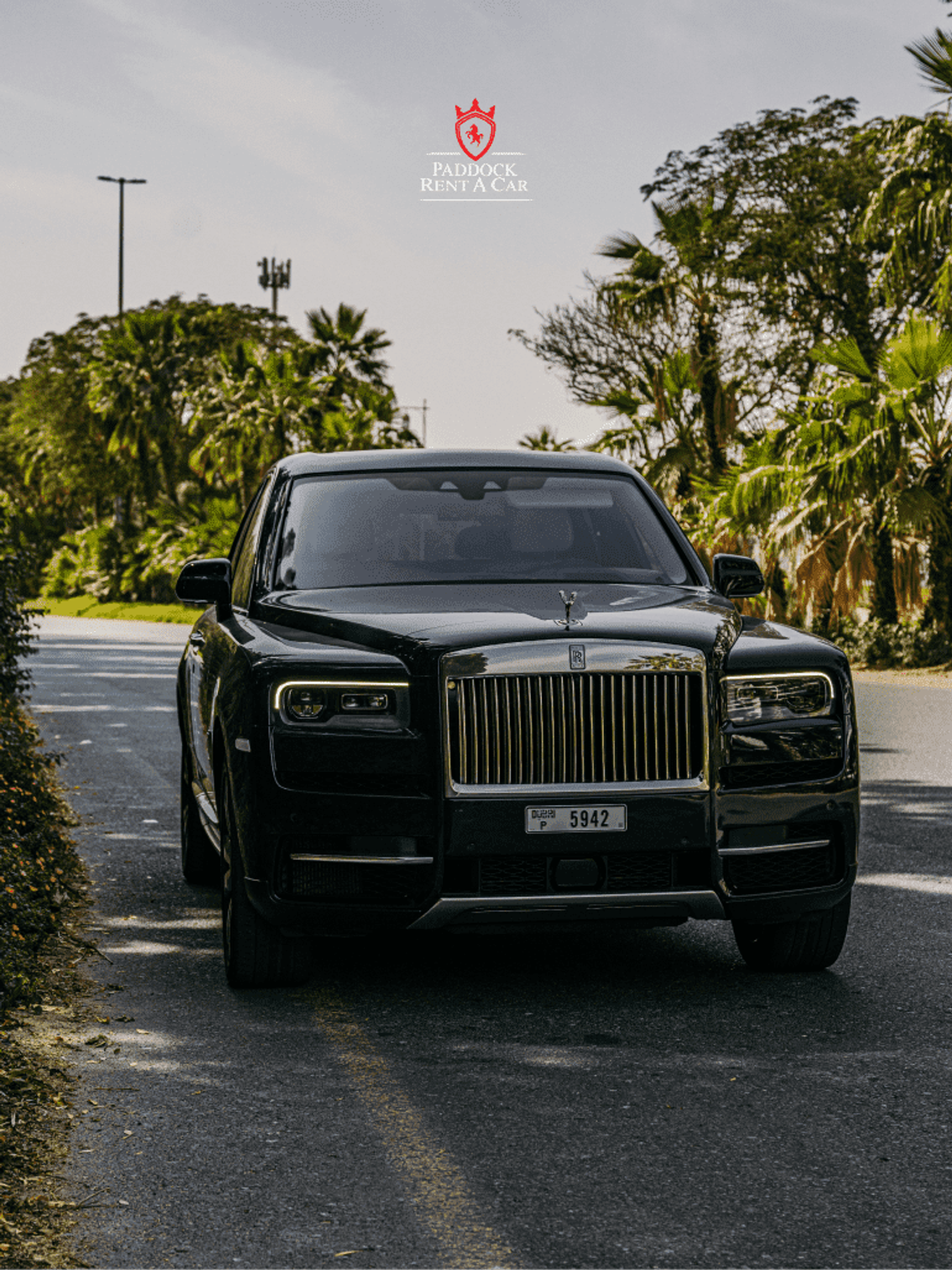 image-b3c4cf7304c98a6f89ff74a403bf08816939c7f9-770x1027-png