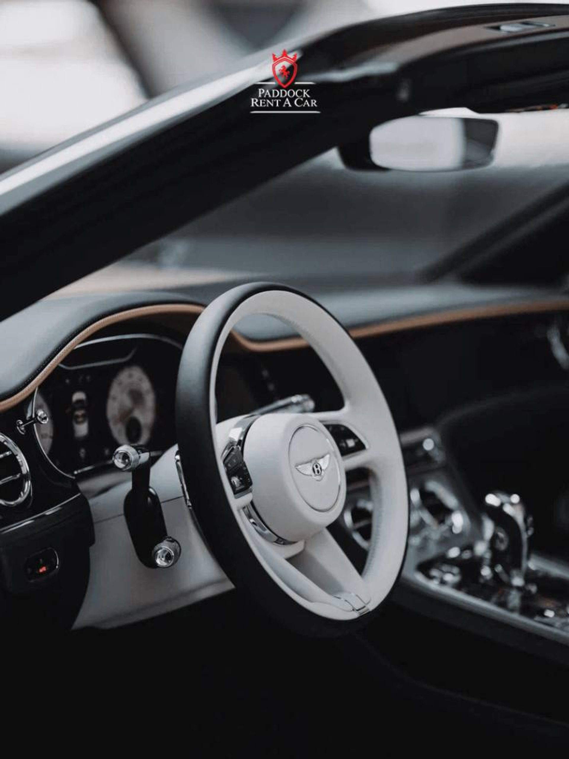 image-c208385e4fc26744dae23e80a6d3c39df8d158db-768x1023-png