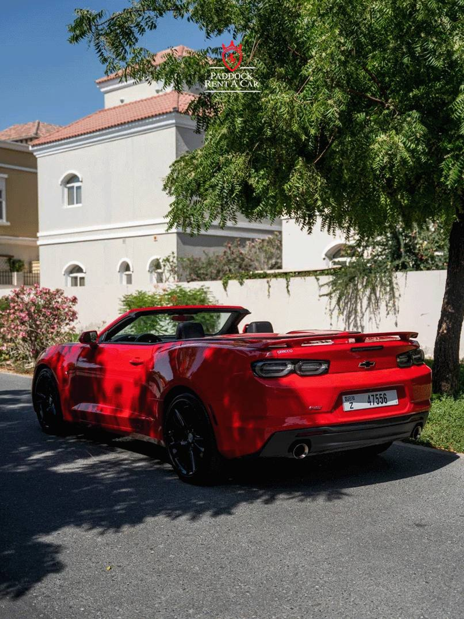 image-c5f95c7ed47f66fe3f19b7d6b789d8edeff11915-807x1075-png