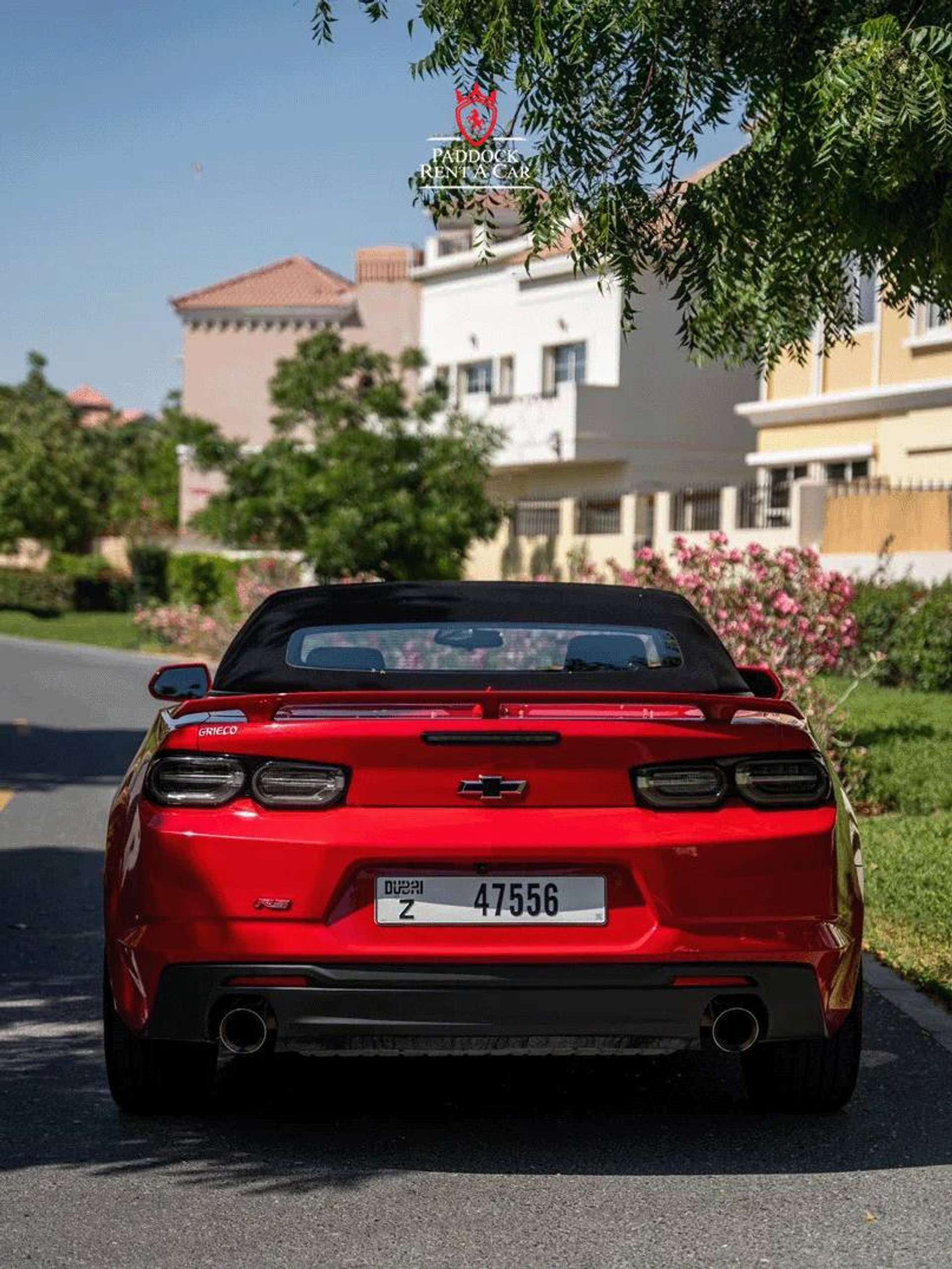 image-e0352b09317d9babc70714b7f9e5b57fec80ae24-807x1075-png