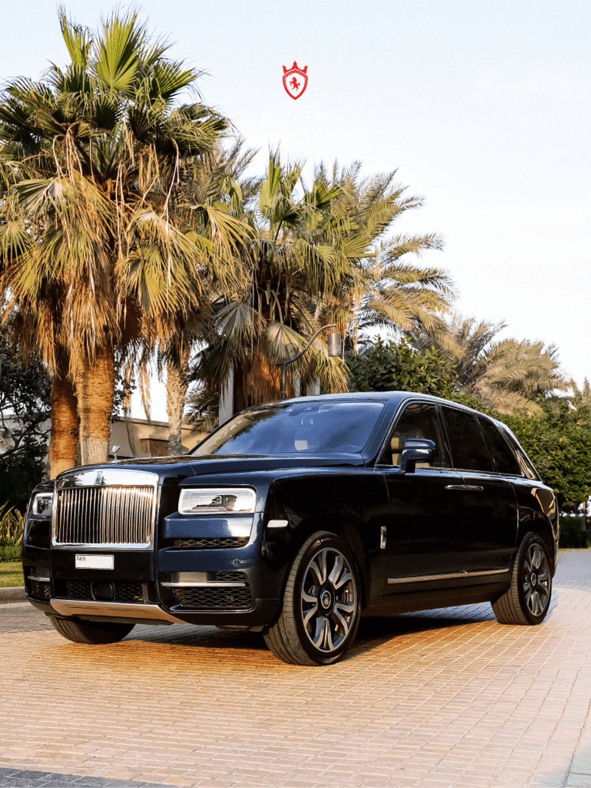 image-ea6169d5032da6f2e10e802893cb5669d3a02263-770x1027-png