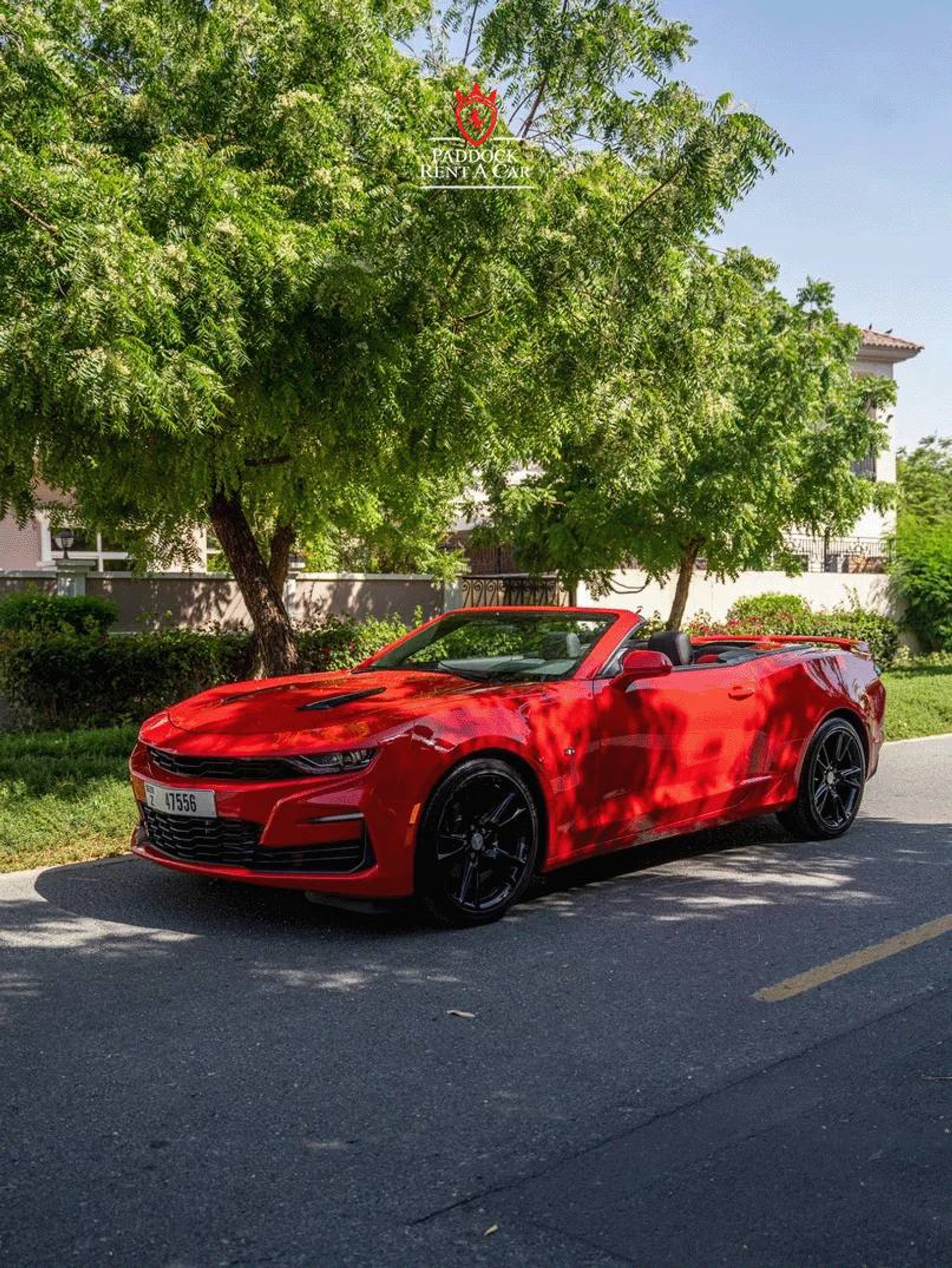 image-f3d9819d8335da5d64576c6439d76fee0c336772-807x1075-png