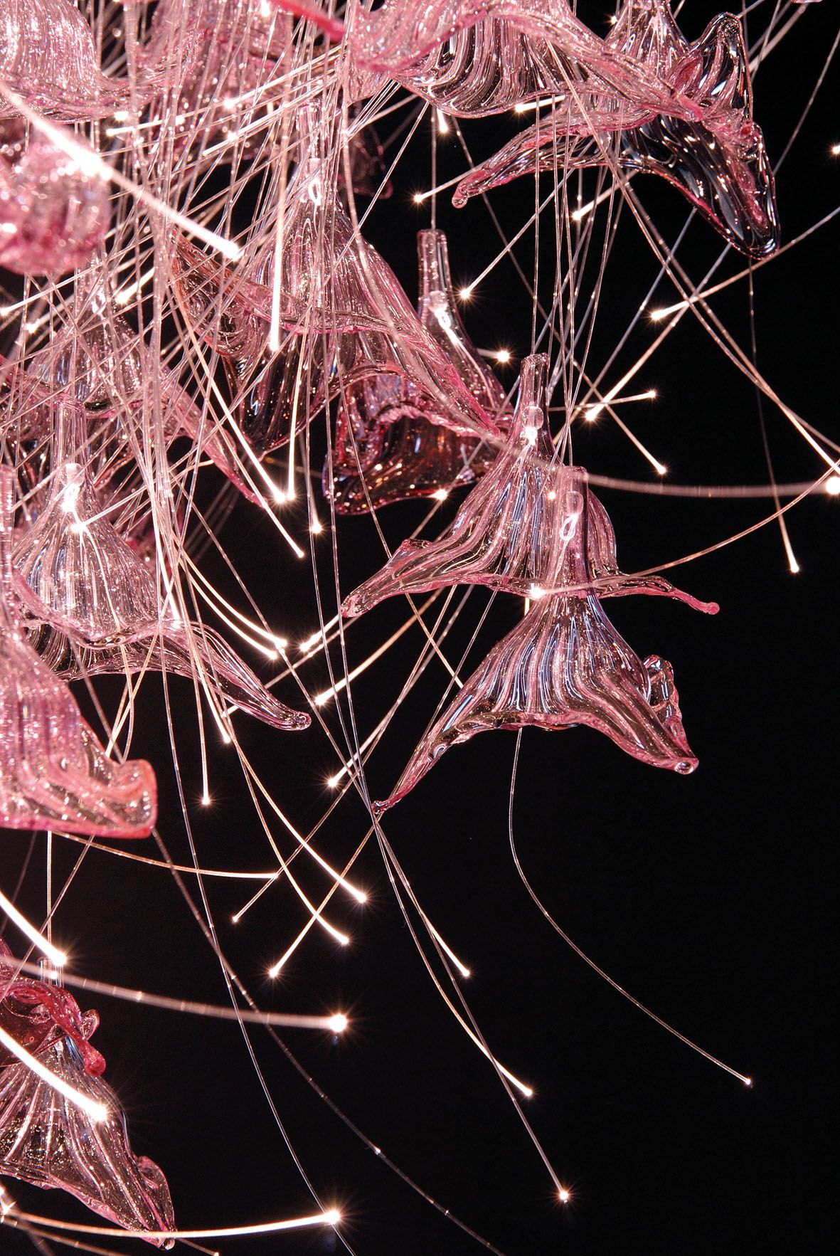 Sharon Marston – Tulle Light