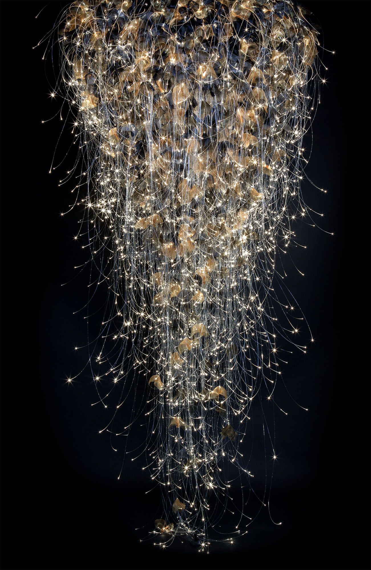 Sharon Marston - Flight Light