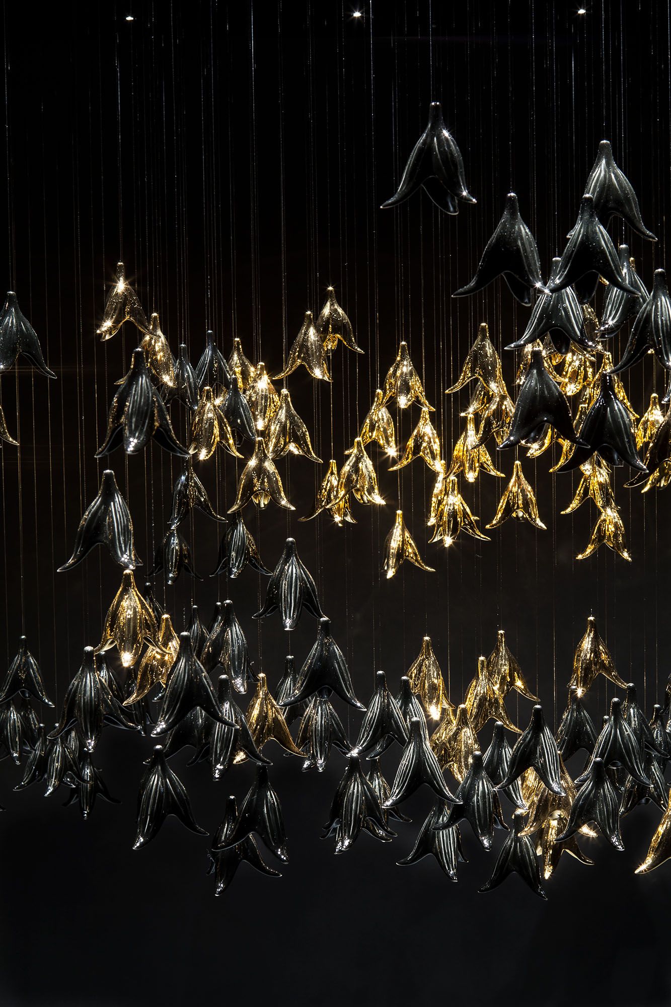 Sharon Marston - Austin Light