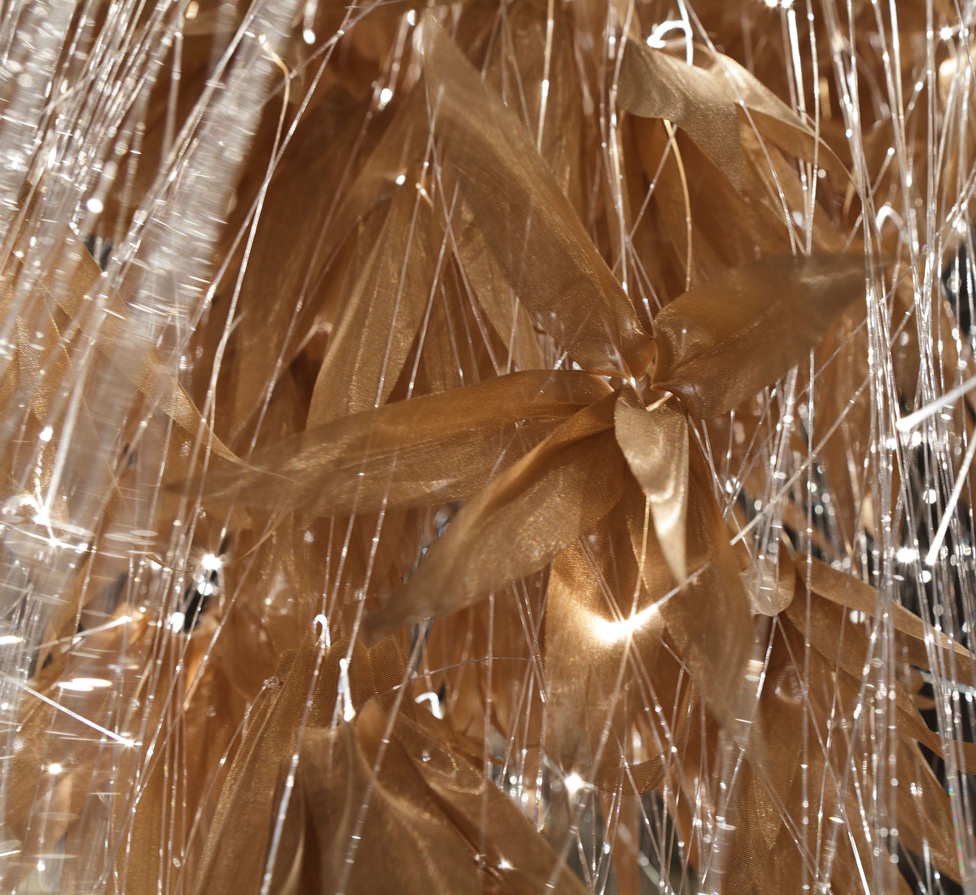 Sharon Marston - Willow Light