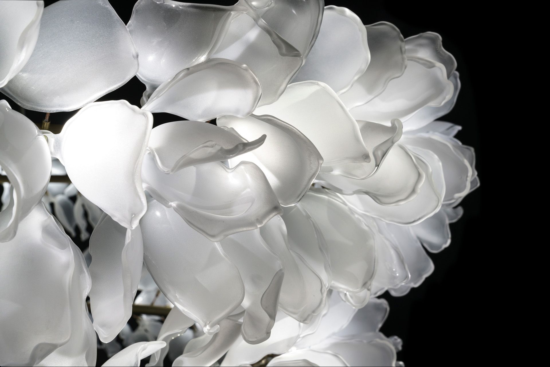 Sharon Marston - Dahlia Light