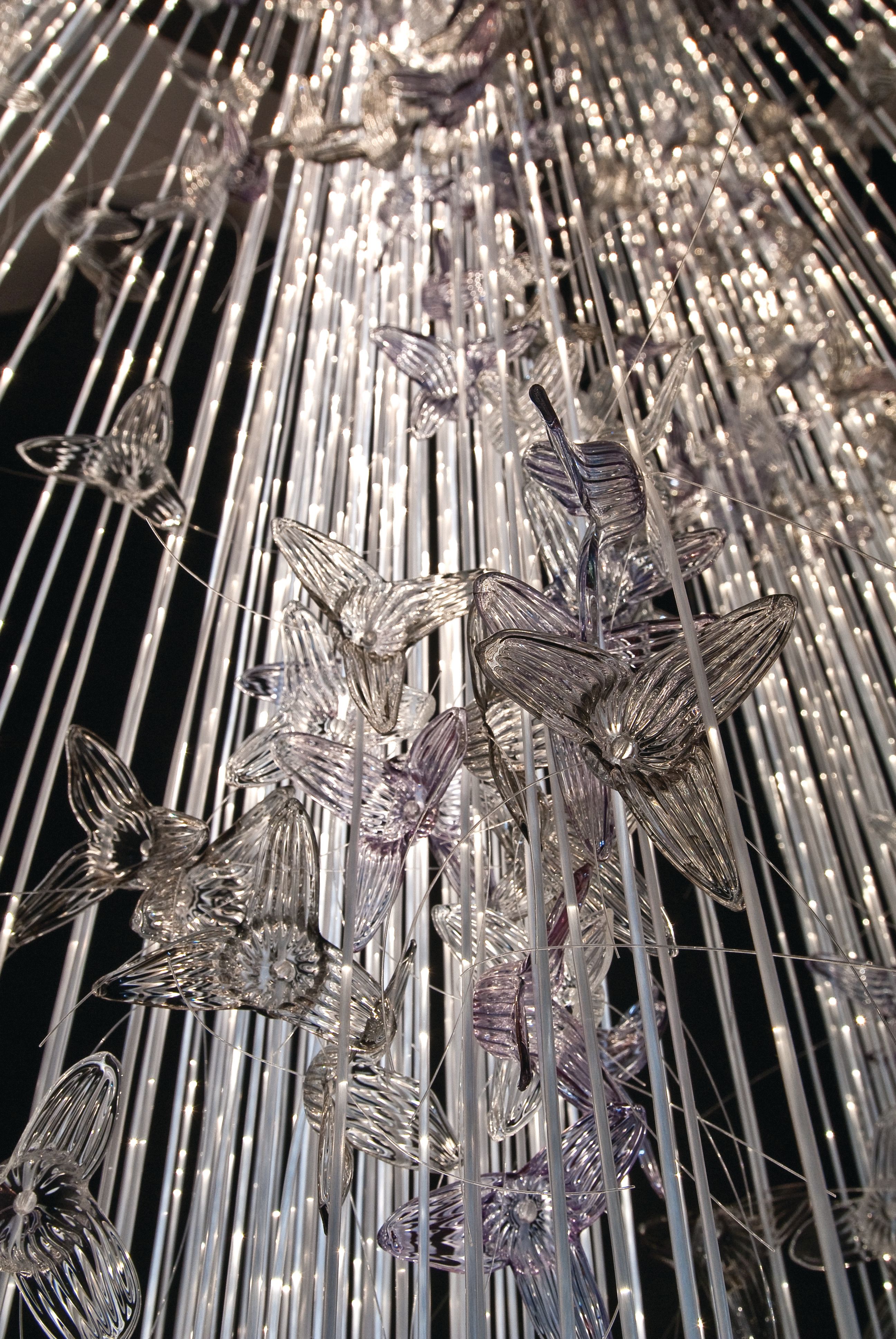 Sharon Marston – Diore Light