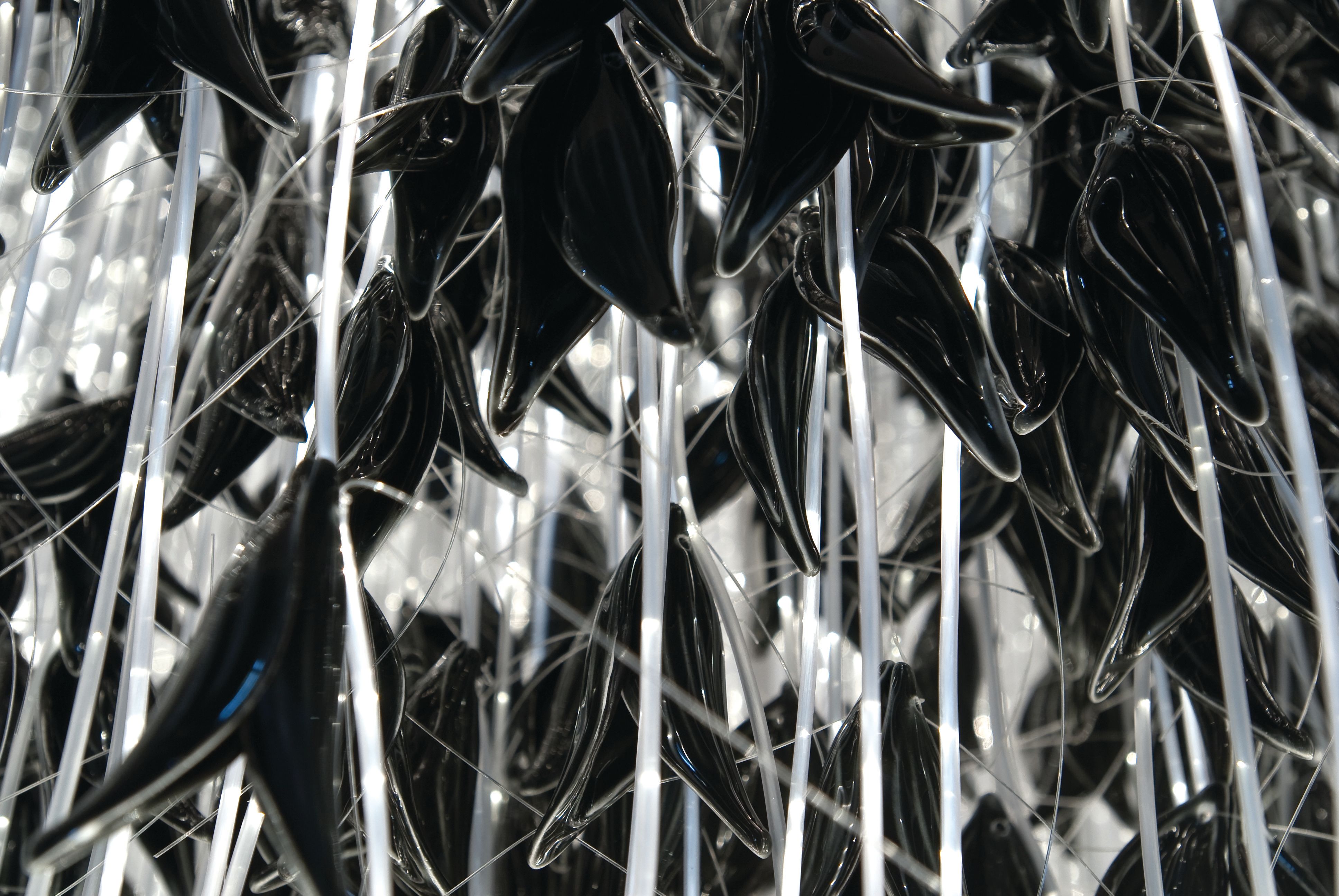 Sharon Marston – Storm Light