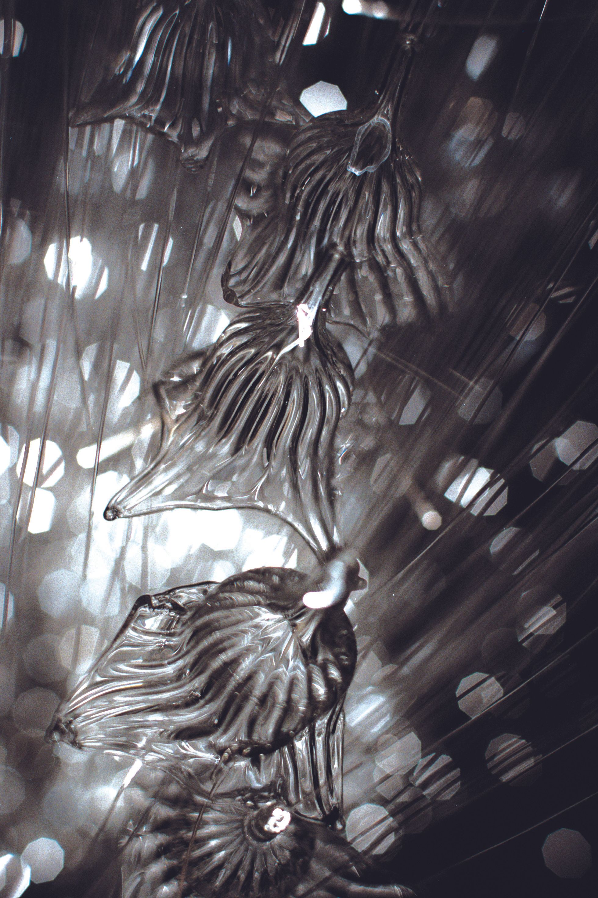 Sharon Marston – Ghost Light