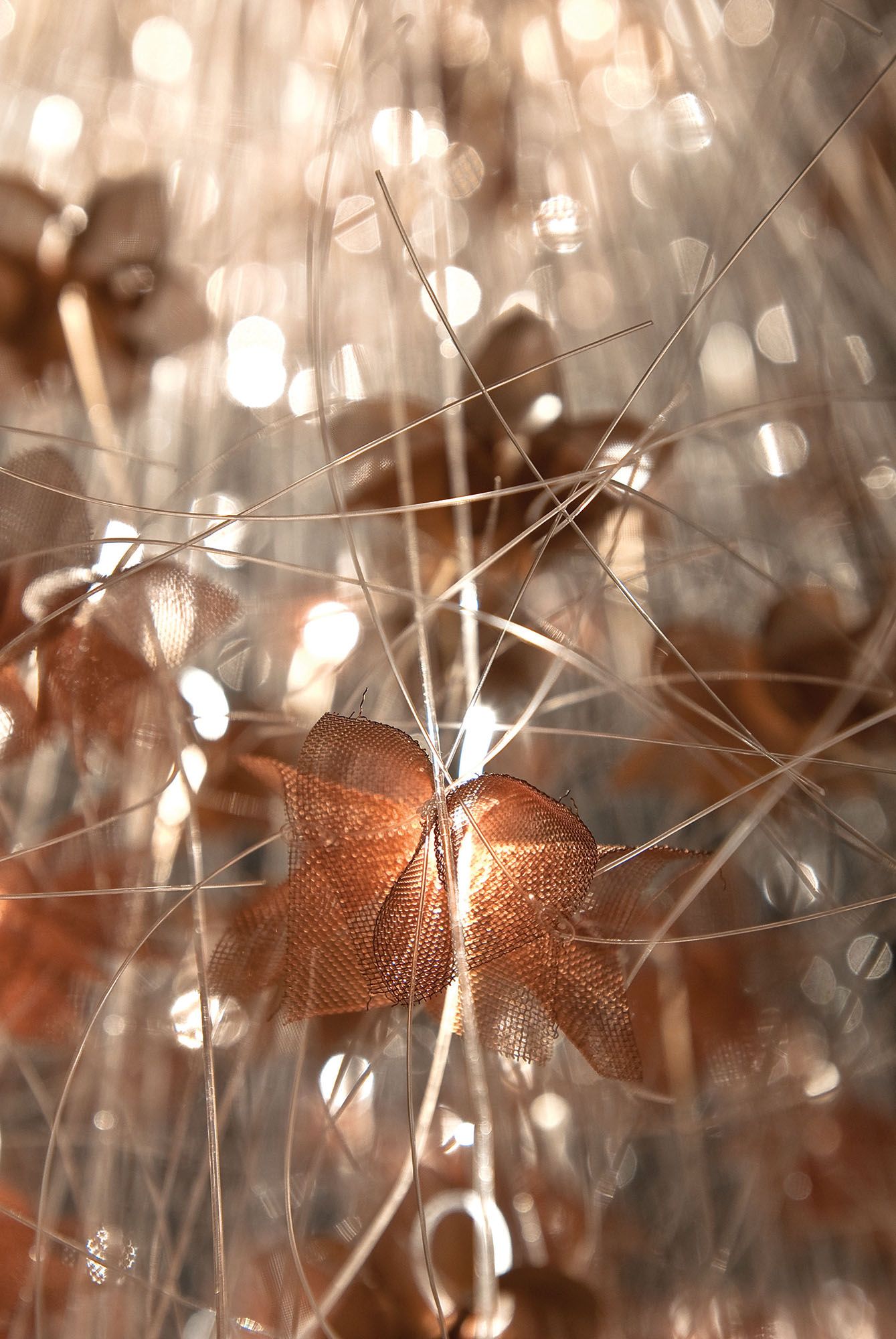 Sharon Marston – Bella Light