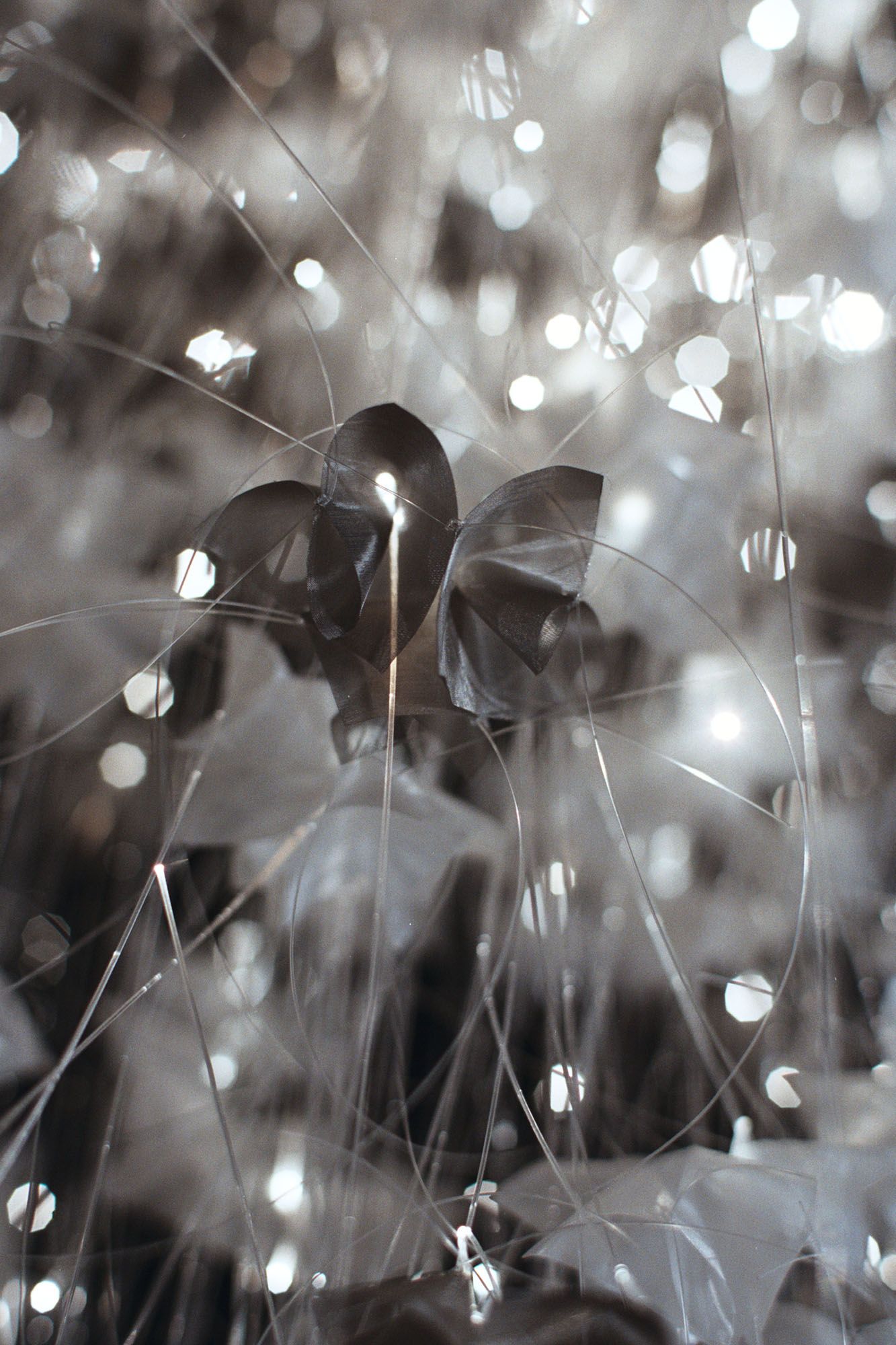 Sharon Marston - Flora Cascade Light