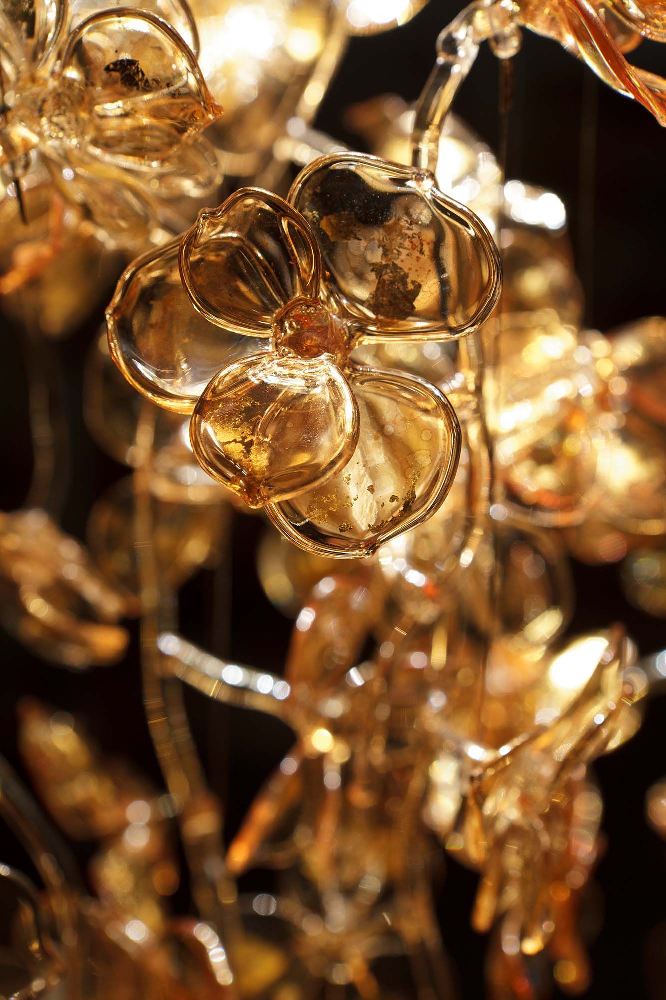 Sharon Marston - Orchid Light