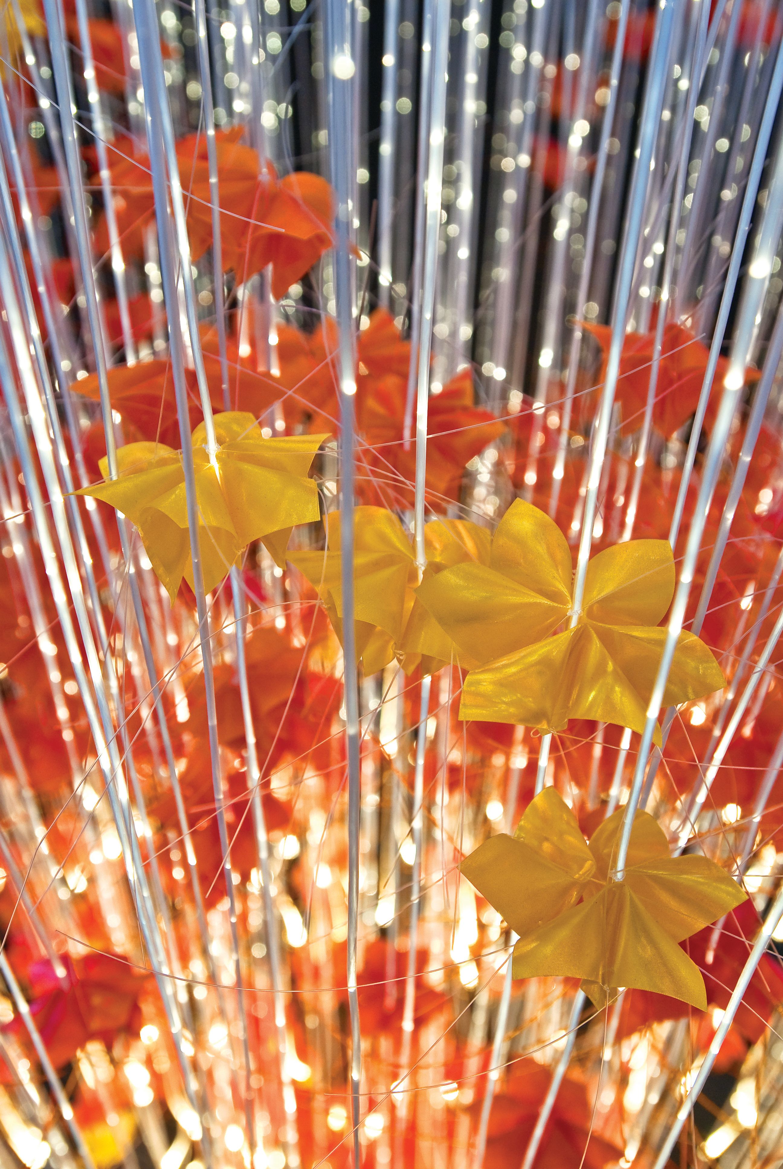 Sharon Marston – April/Autumn Light