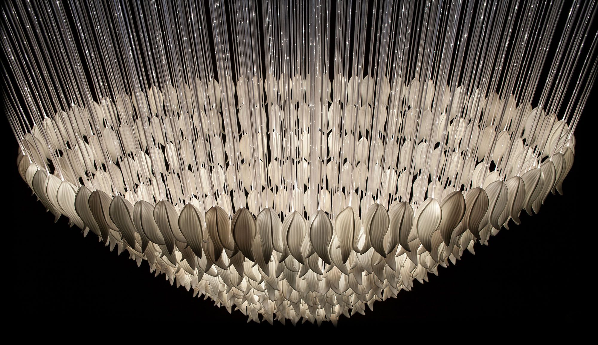 Sharon Marston - Amara Light