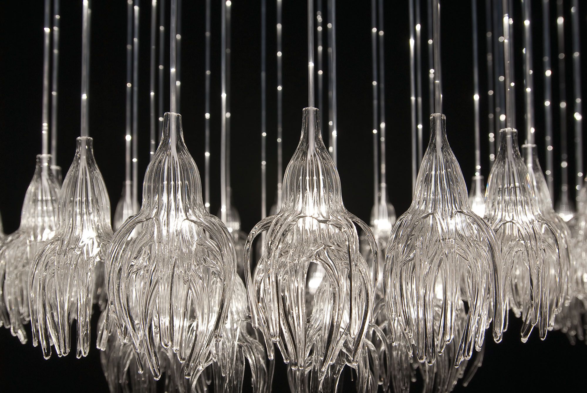 Sharon Marston – Lotus Light