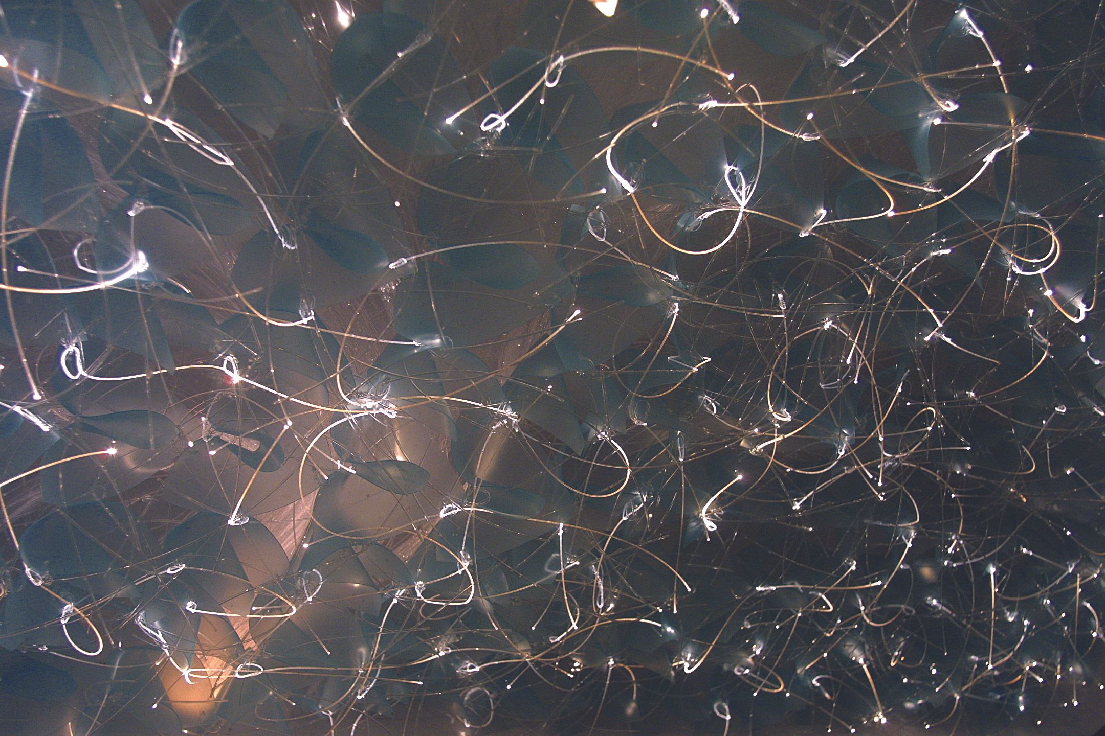 Sharon Marston – Filament Light