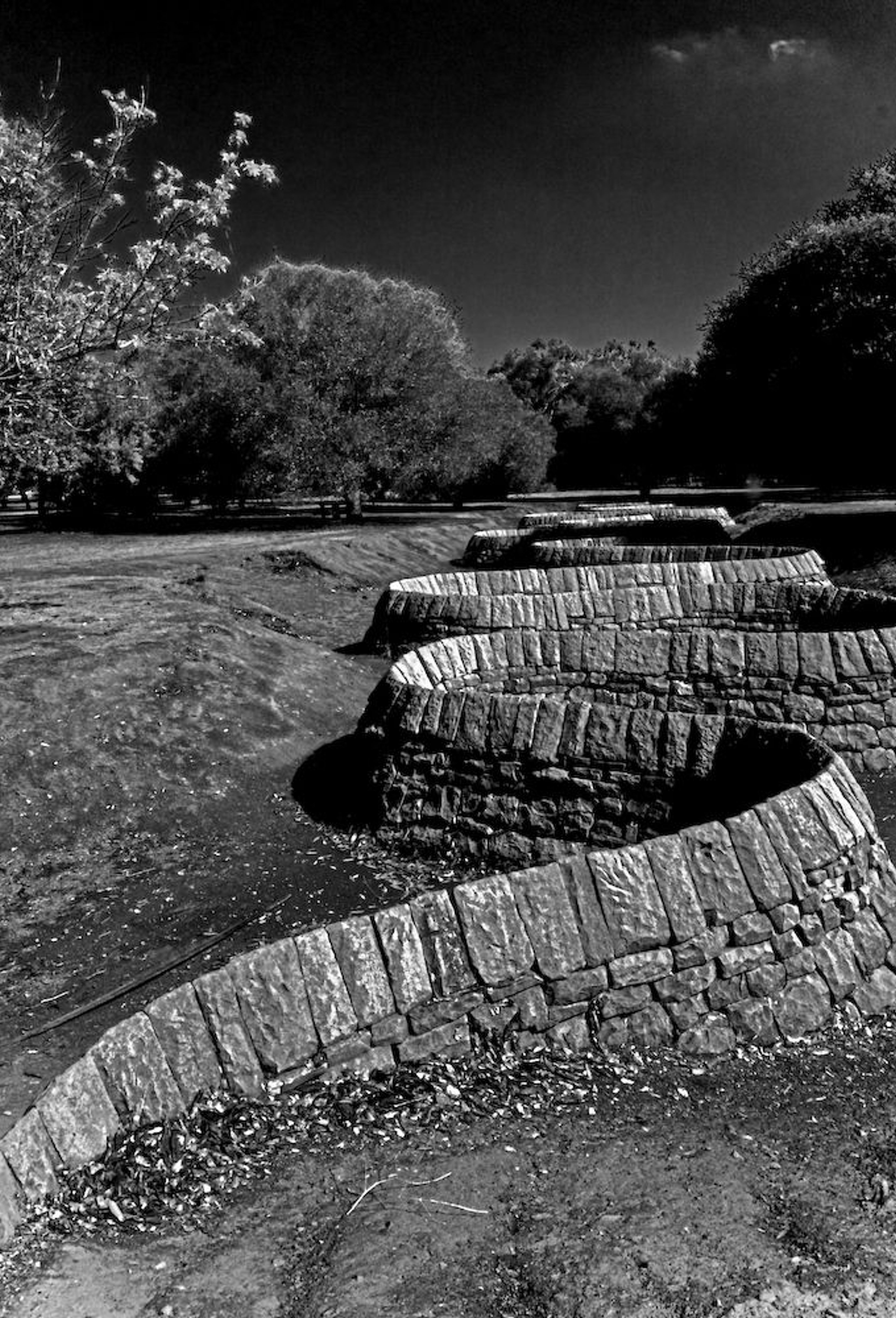 Esculturas curvas dispuestas al aire libre, fotografiadas en blanco y negro.