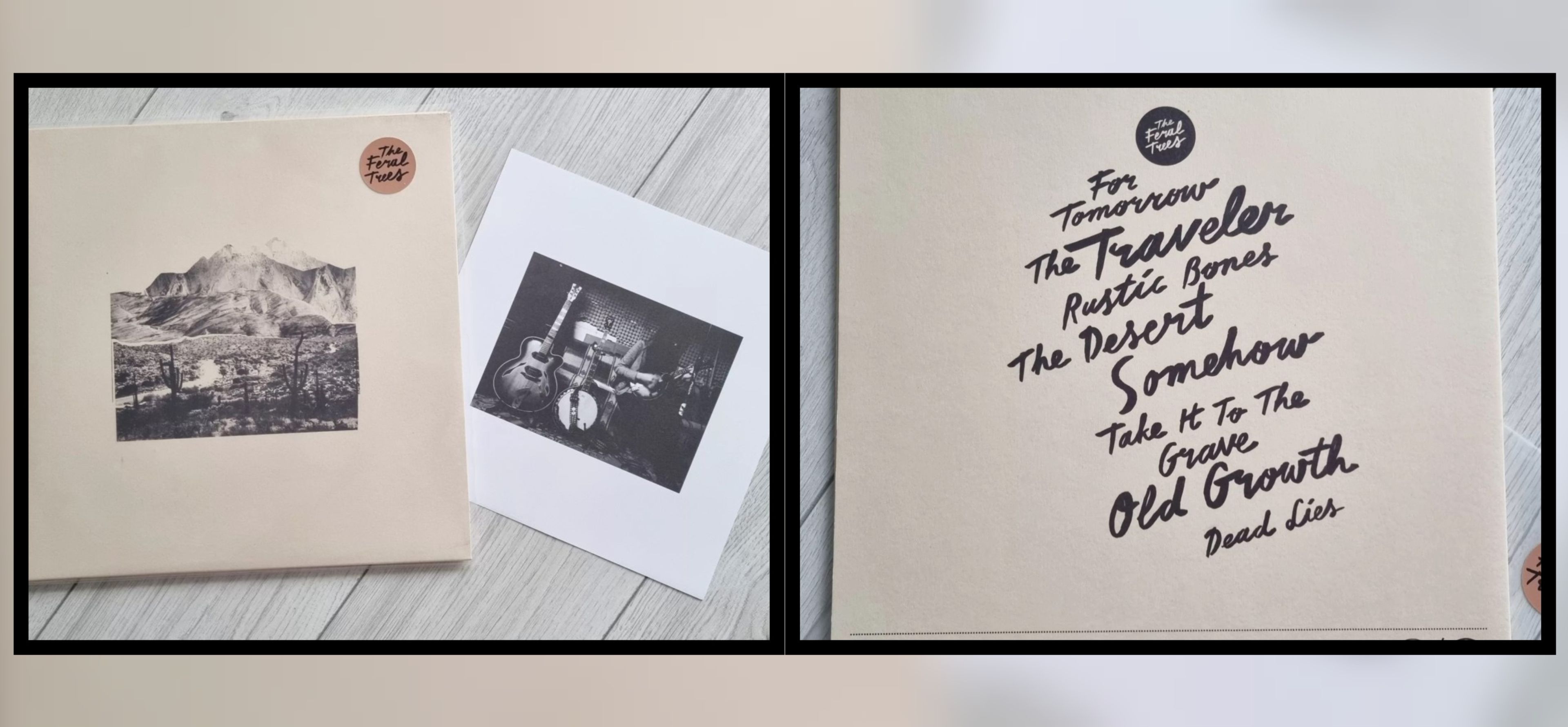 The Feral Trees winyl, winyl