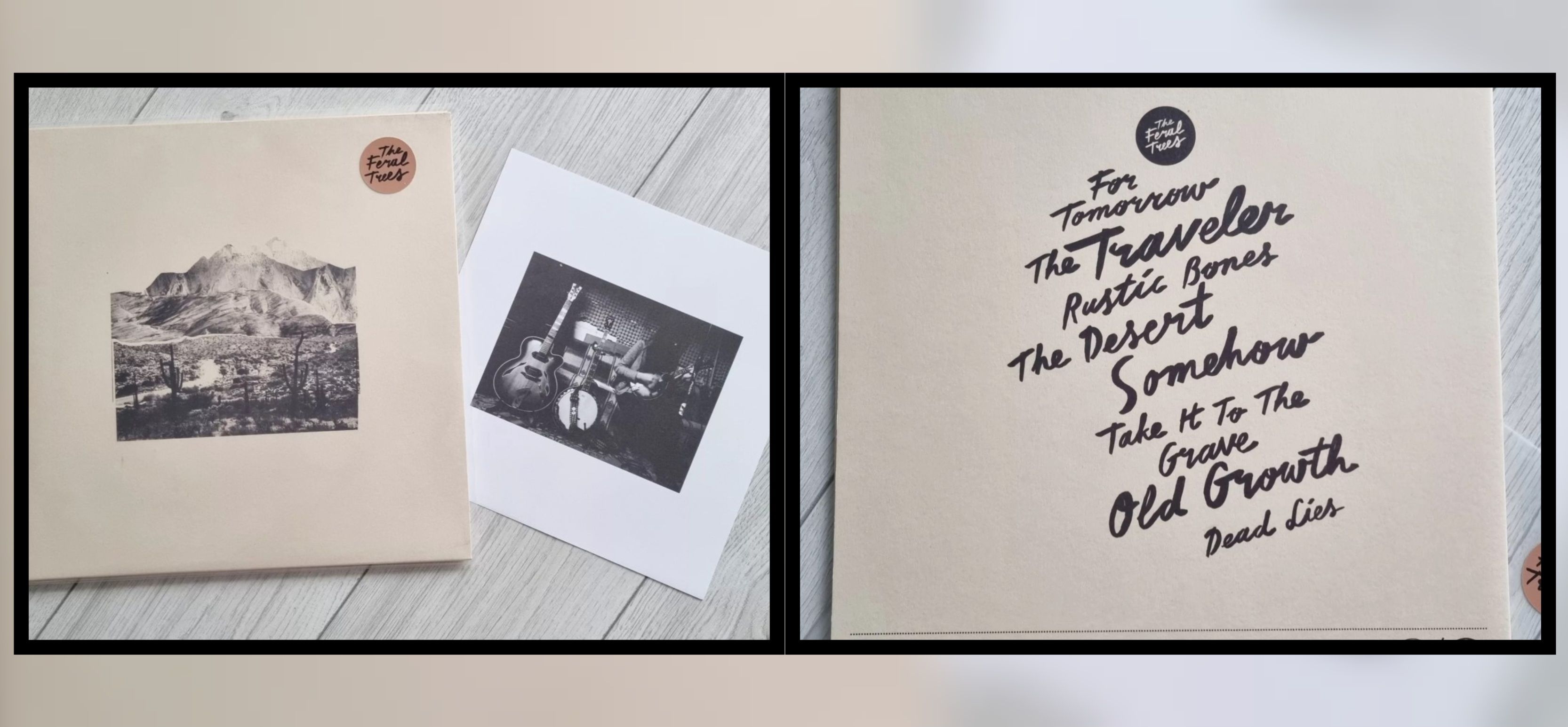 The Feral Trees winyl, winyl