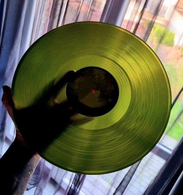 Subiektywny Leksykon , World of Tim Burton, winyl, vinyl