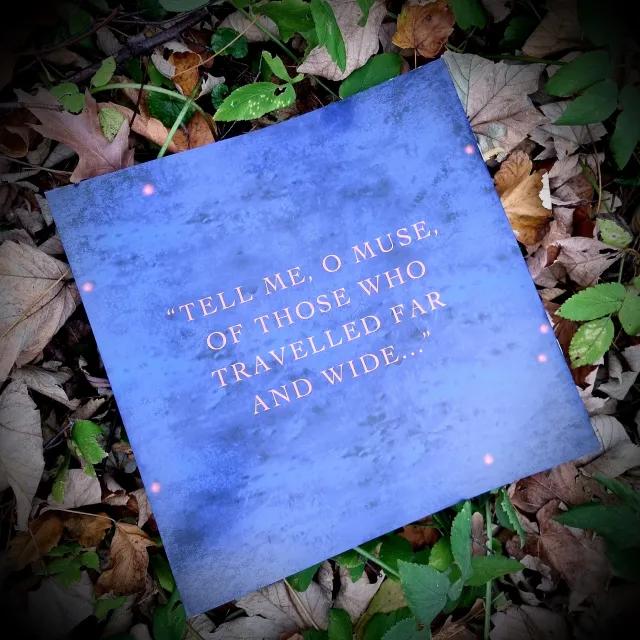 Loreena McKennitt, winyl, vinyl