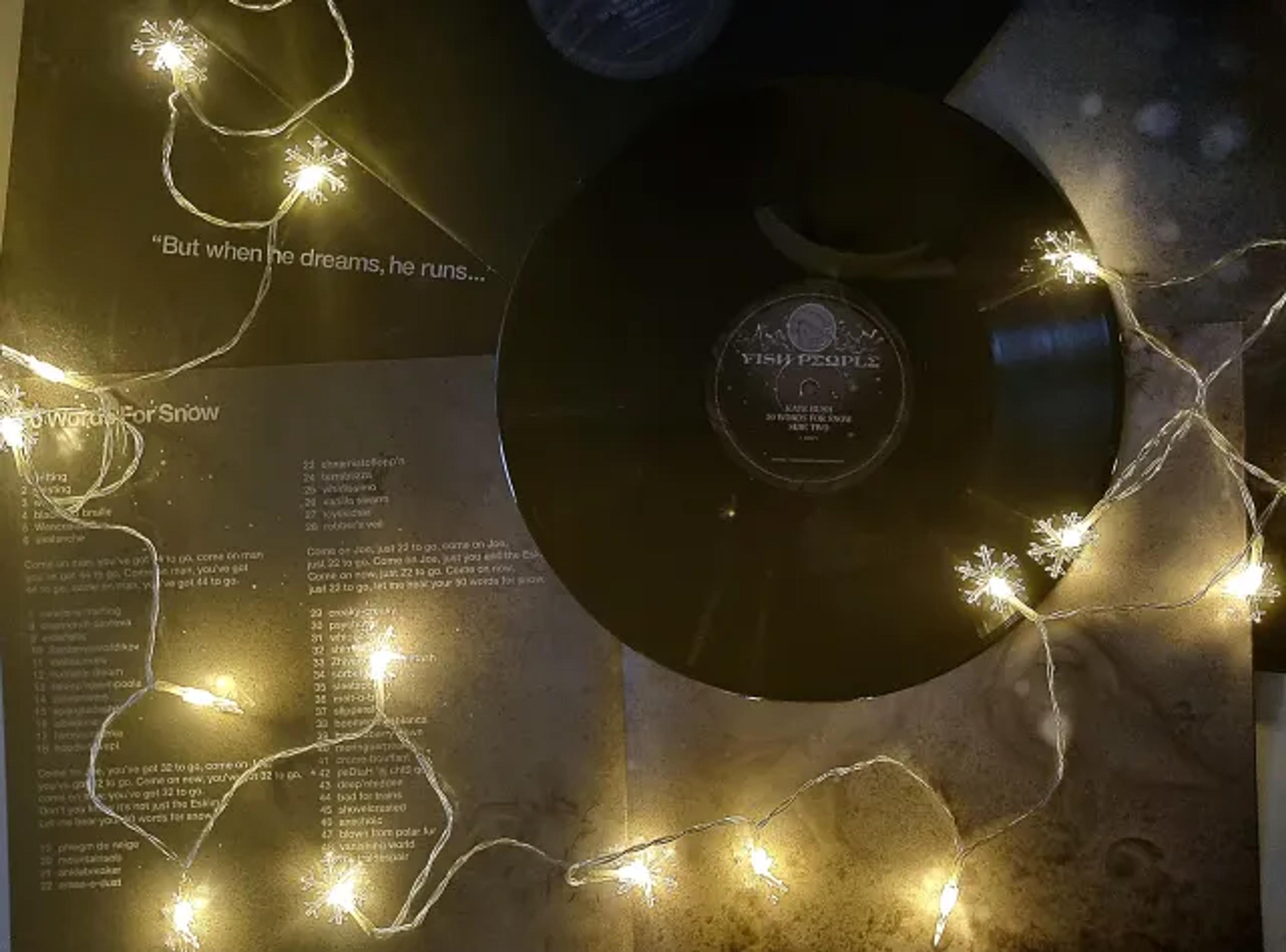 Subiektywny Leksykon Płyt, Które Warto Mieć: Kate Bush "50 Words For Snow"