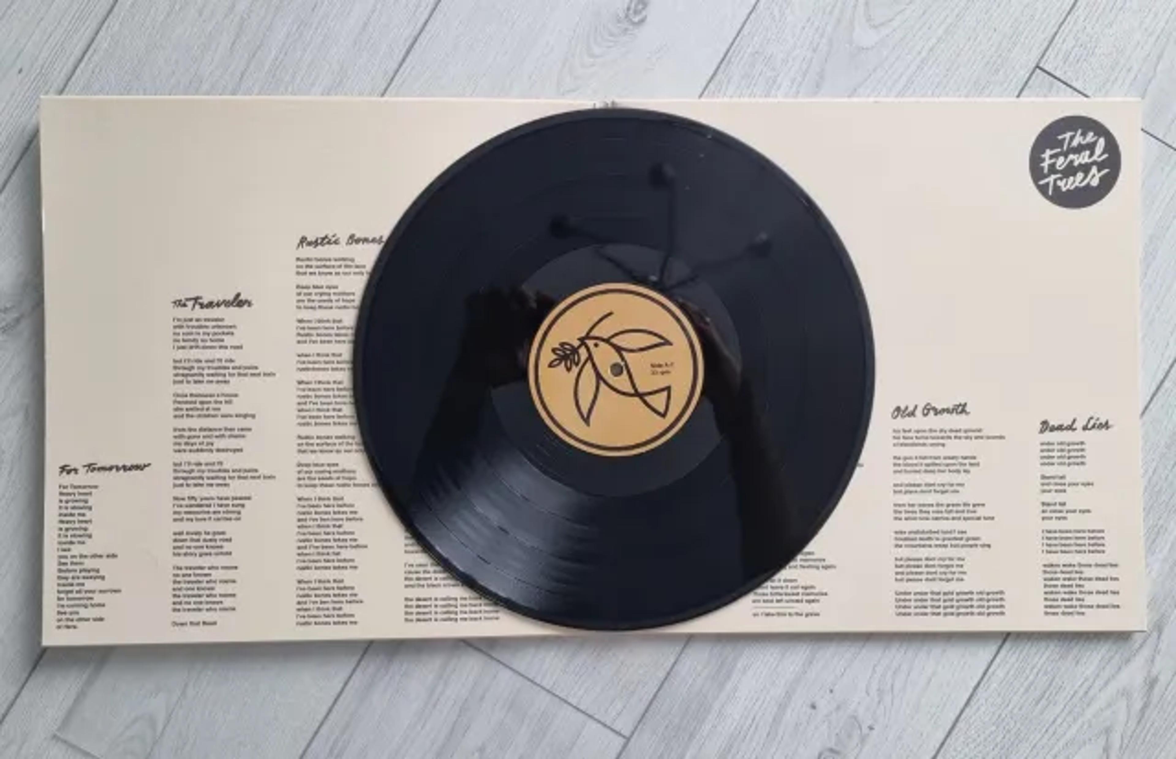 The Fearal Trees vinyl winyl