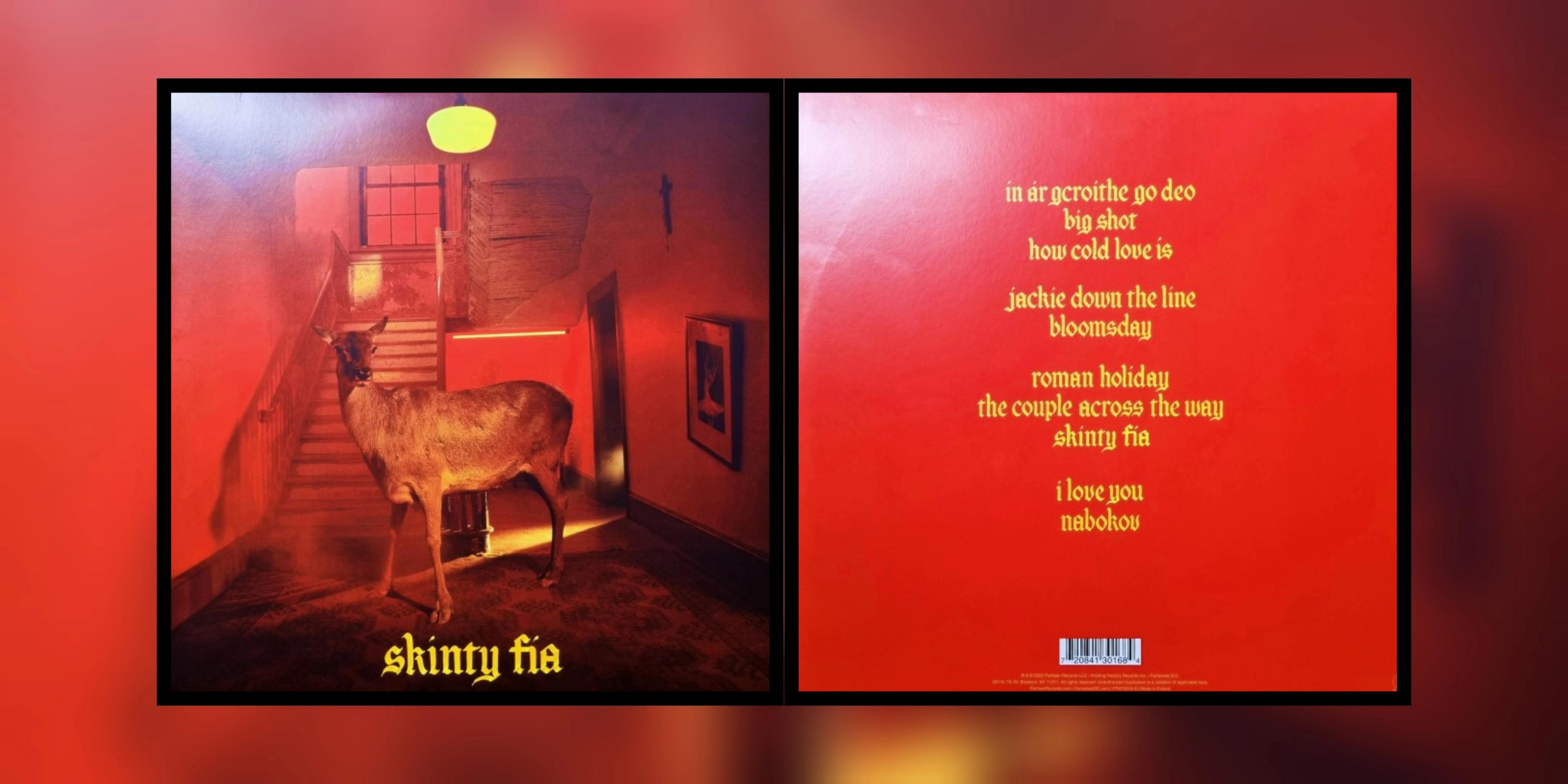 Subiektywny Leksykon Płyt, Które Warto Mieć: Fontaines D.C. "Skinty Fia"